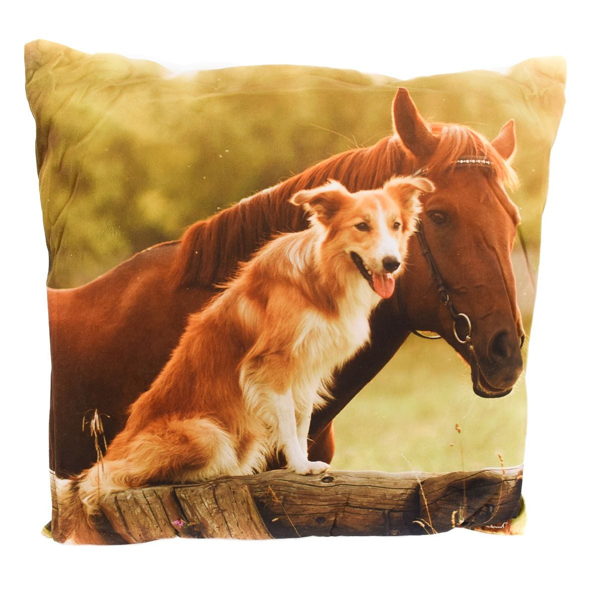 Marabellas Shop Dekokissen Couchkissen 45 x 45 cm Kuschelkissen mit Tiermot günstig online kaufen