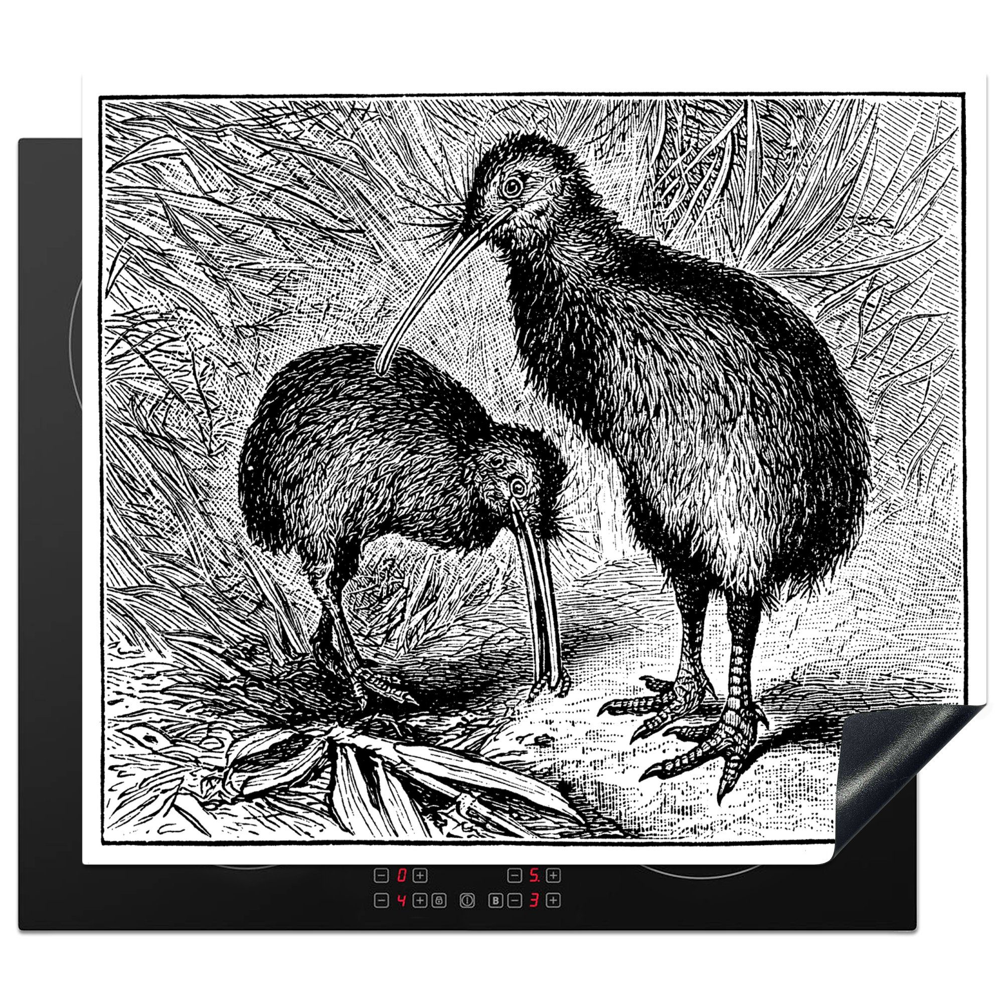MuchoWow Herdblende-/Abdeckplatte Schwarz-Weiß-Illustration von zwei Kiwi-Vögeln, Vinyl, (1 tlg), 60x52 cm, Mobile Arbeitsfläche nutzbar, Ceranfeldabdeckung