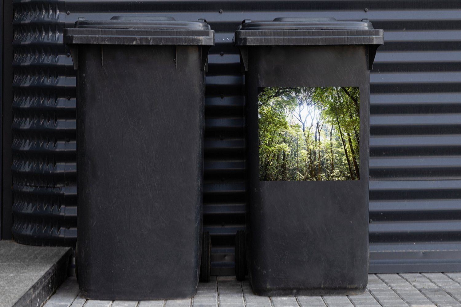 MuchoWow Wandsticker Die (1 in St), Öffnung im Regenwald Container, scheint Sticker, Mülltonne, Abfalbehälter Sonne eine Thailand Mülleimer-aufkleber, durch