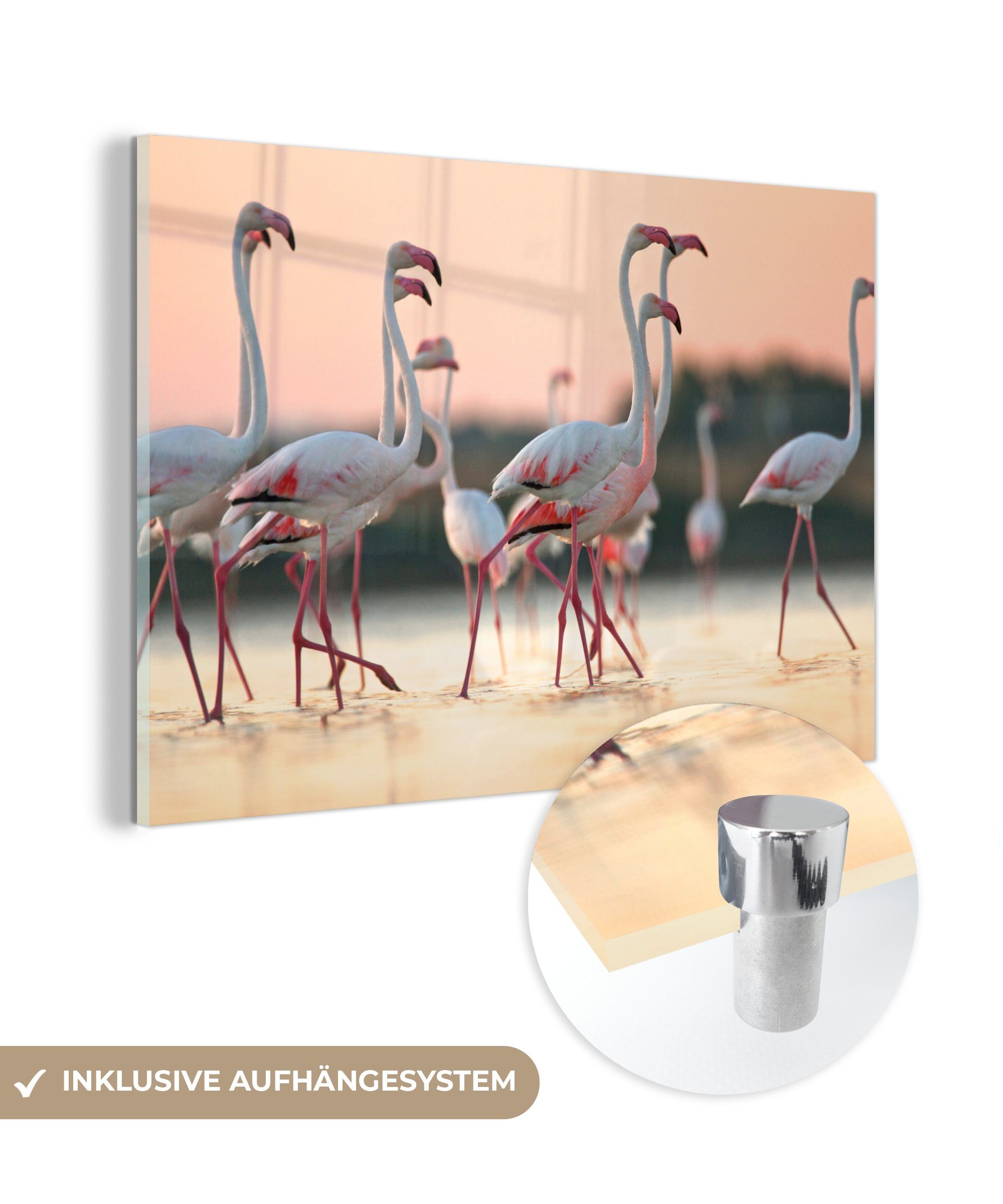 bei (1 & Flamingos St), Schlafzimmer Sonnenuntergang in Acrylglasbild Gruppe Acrylglasbilder Wohnzimmer von Italien, MuchoWow