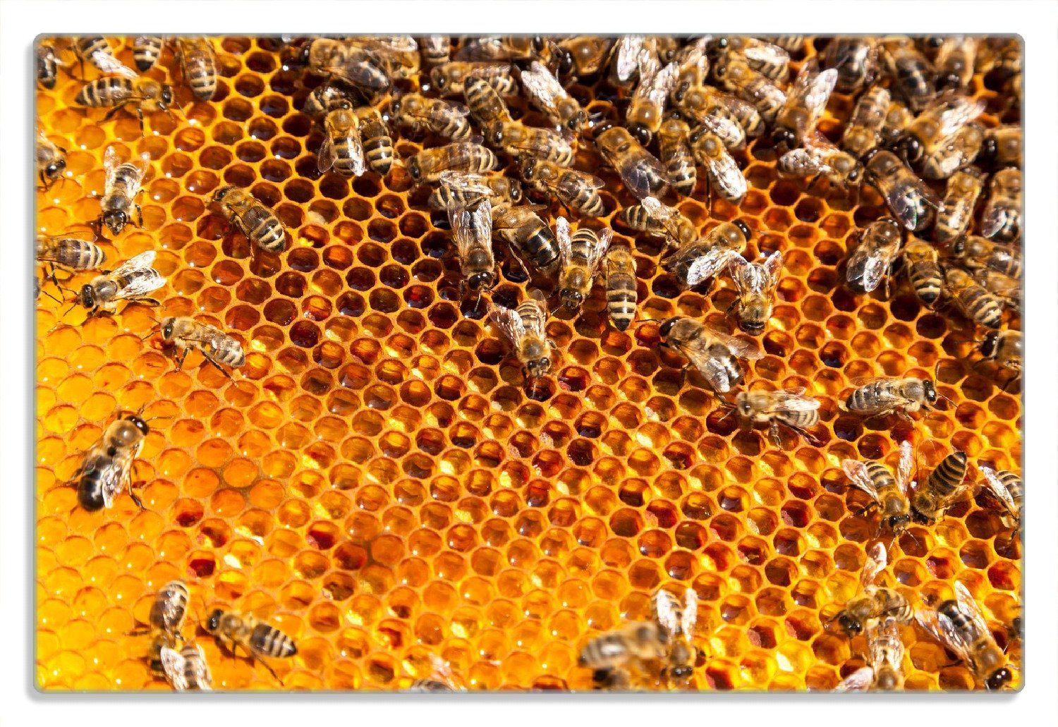 Wallario Frühstücksbrett Honigwaben mit Bienen, (inkl. rutschfester Gummifüße 4mm, 1-St), 20x30cm