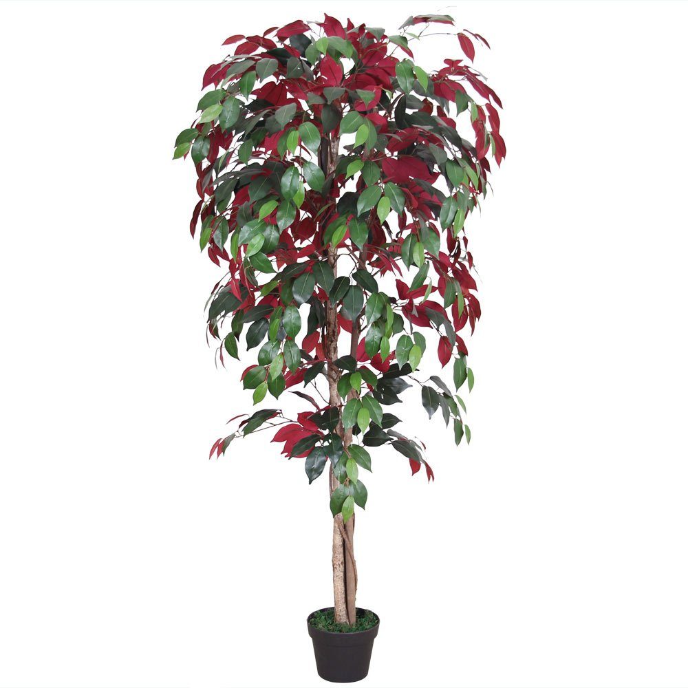 Kunstpflanze Roter Ficus Benjamin Birkenfeige Kunstpflanze Kunstbaum Künstlich 150cm Decovego, Decovego