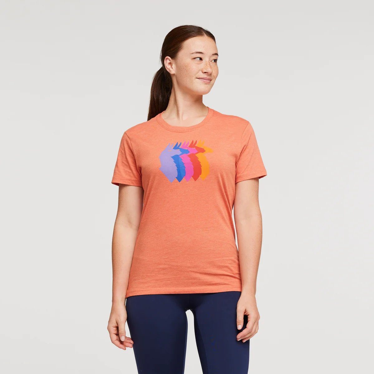 Cotopaxi T-Shirt Llama Sequence Organic T-Shirt Nectar
