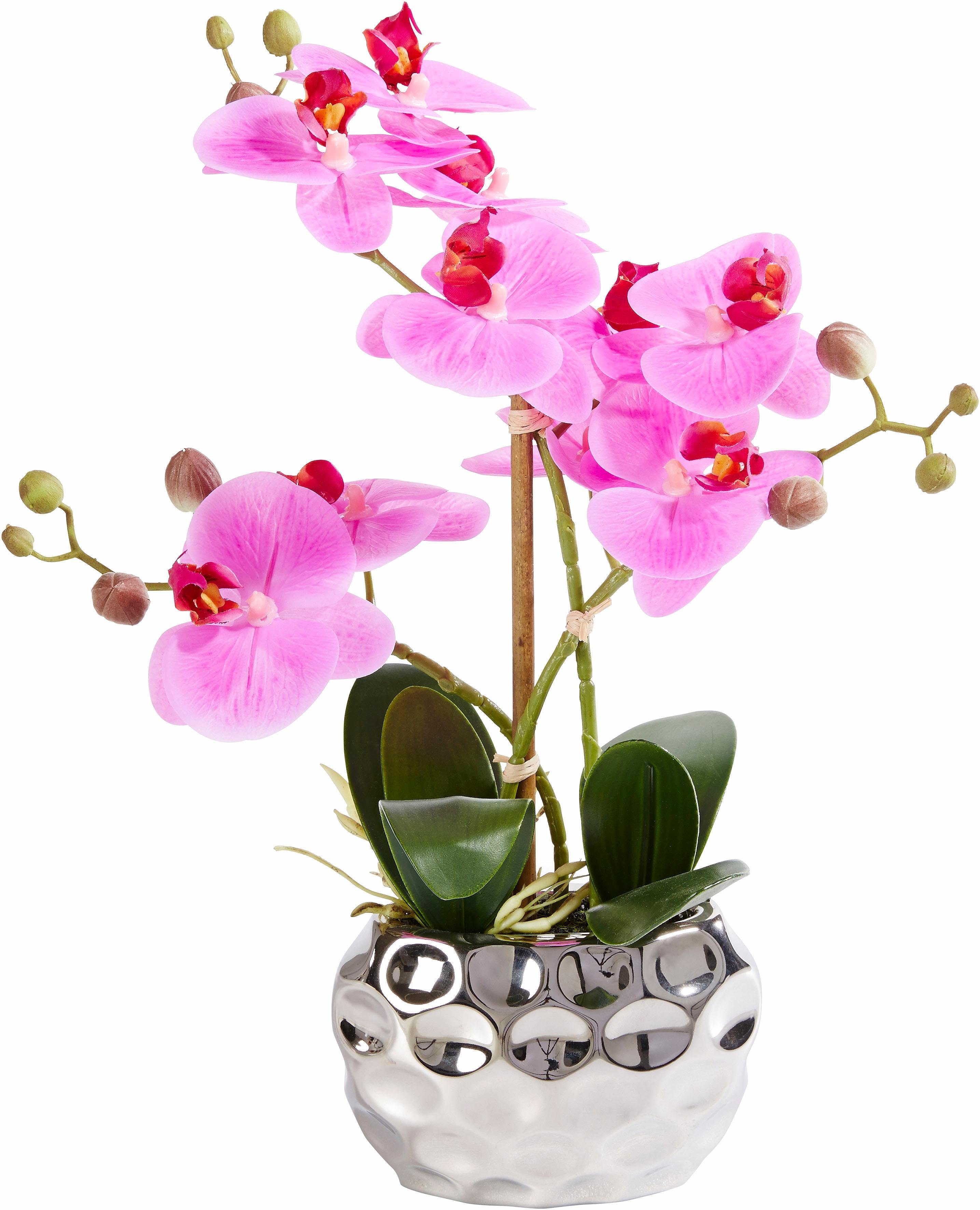 Kunstpflanze Orchidee Orchidee, Leonique, Höhe 38 günstig online kaufen