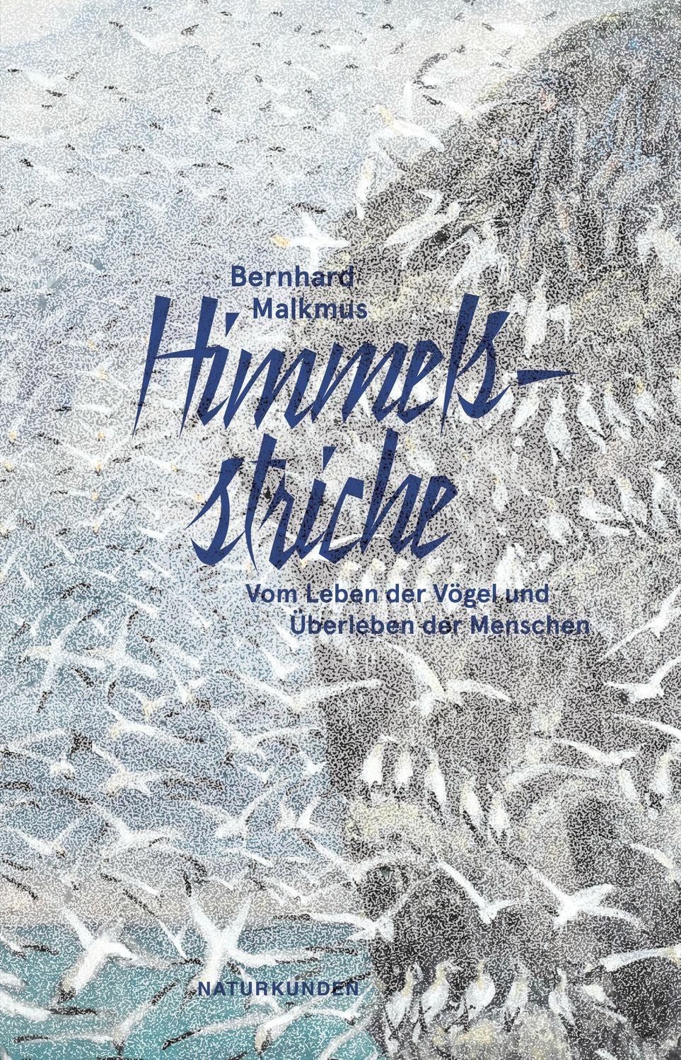 Himmelsstriche / Bernhard Malkmus
