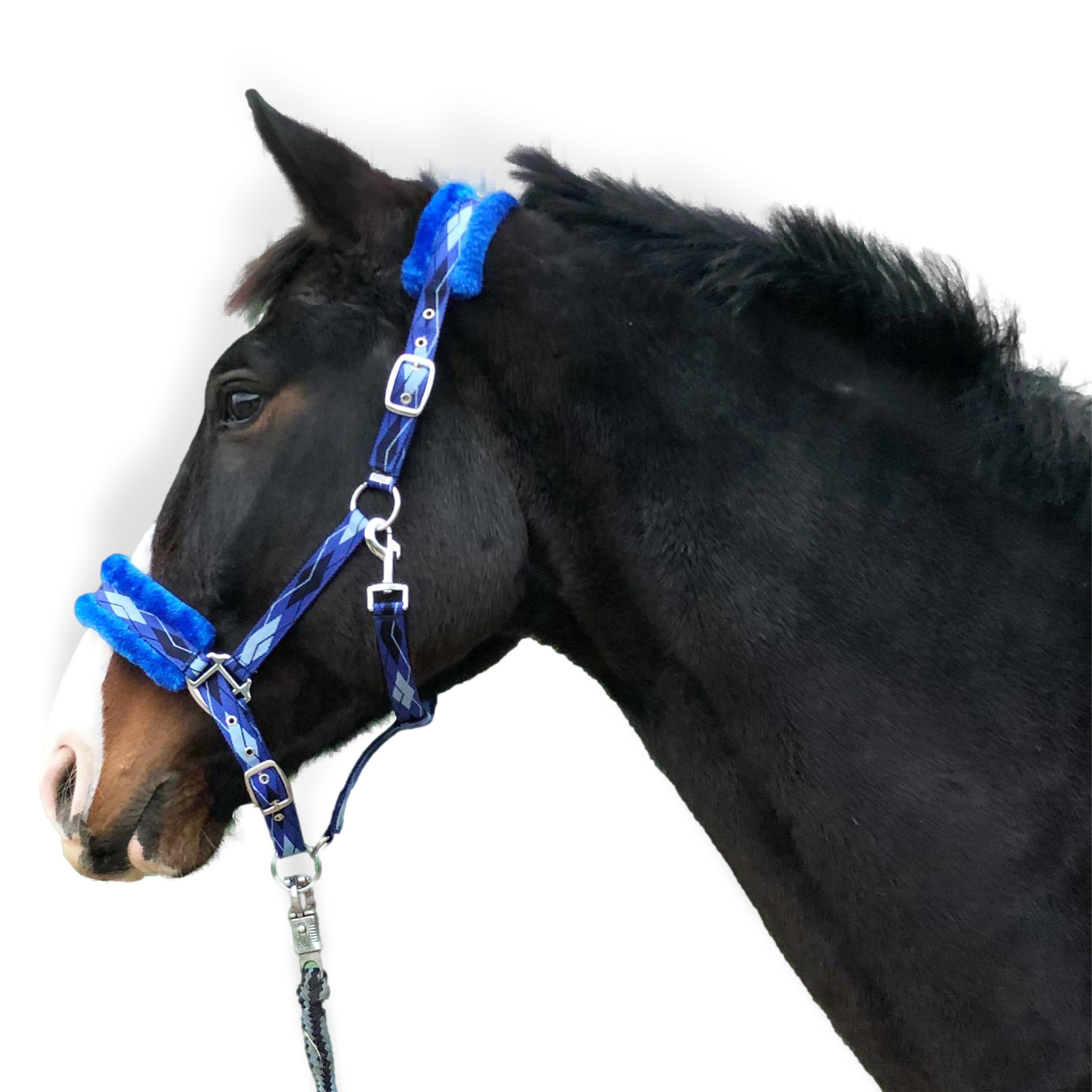 Fellhalfter Halfter für Pferde Fell Halfter unterlegt Halfter blau