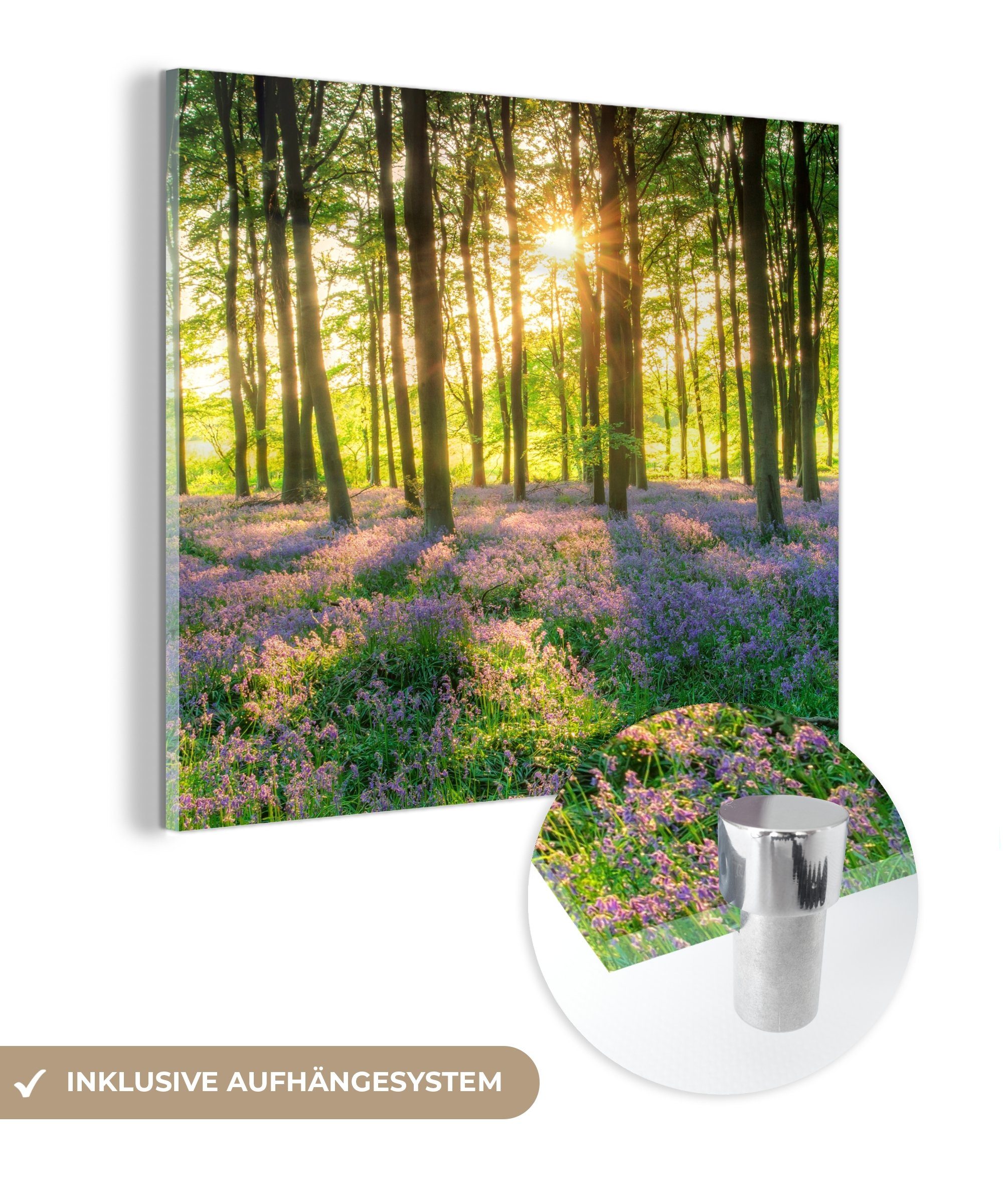 MuchoWow Acrylglasbild Frühling - Wald - günstig online kaufen