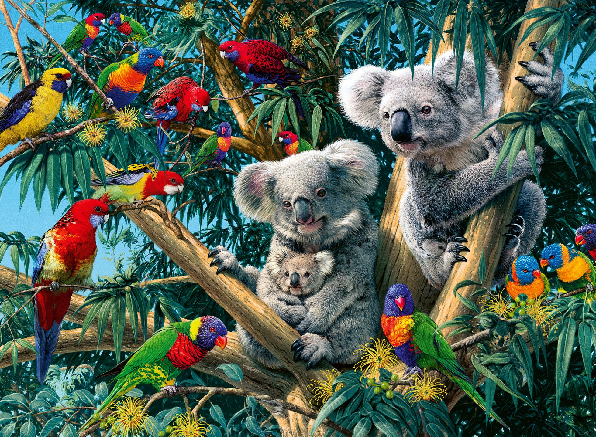 Ravensburger Puzzle Koalas im Baum, 500 günstig online kaufen