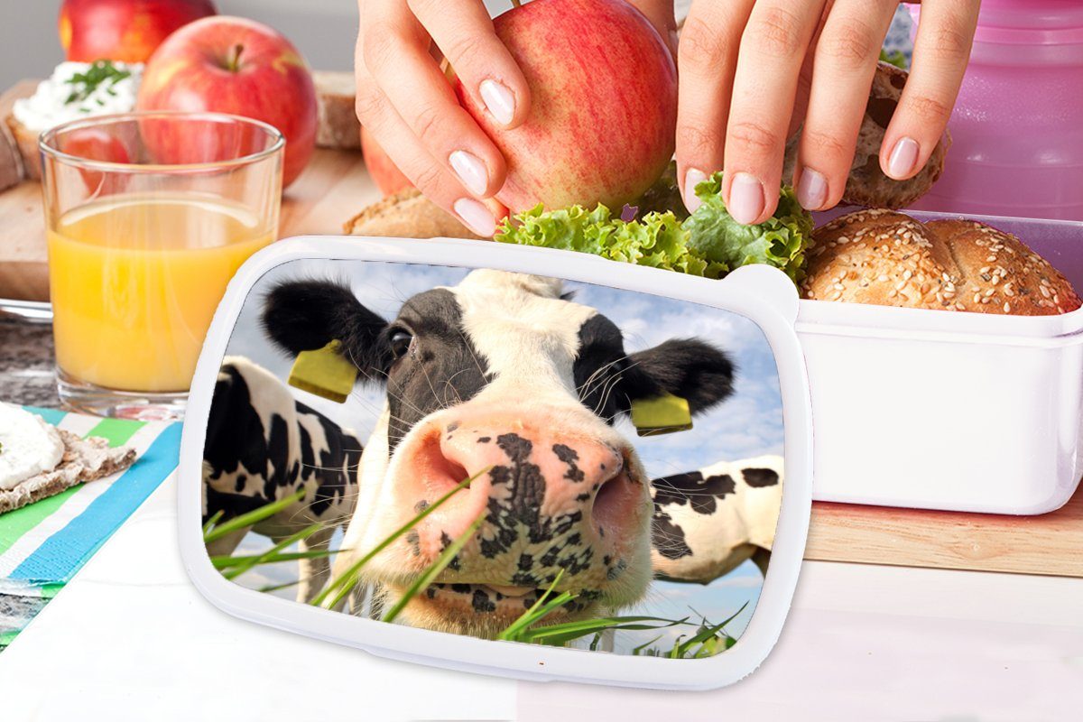 Kinder Mädchen Kuh - Tiere, - Erwachsene, und (2-tlg), und Jungs für Gras Bauernhof Brotdose, weiß MuchoWow Kunststoff, Brotbox für Lunchbox -