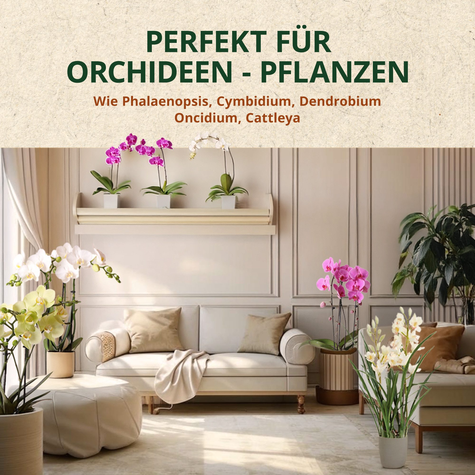 OraGarden Spezialerde Orchideen-Mix – Bild 5 von 5