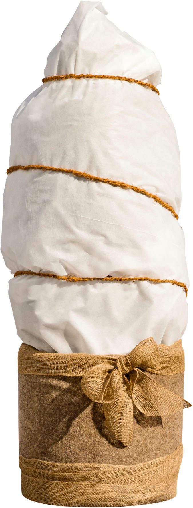 Windhager Winterschutzvlies Winterschutz für Pflanzen, Vlieshaube, Frostschutz und Kälteschutz, UV stabilisiert und witterungsbeständig, 1,5x2 m, Stärke 200 g/m2
