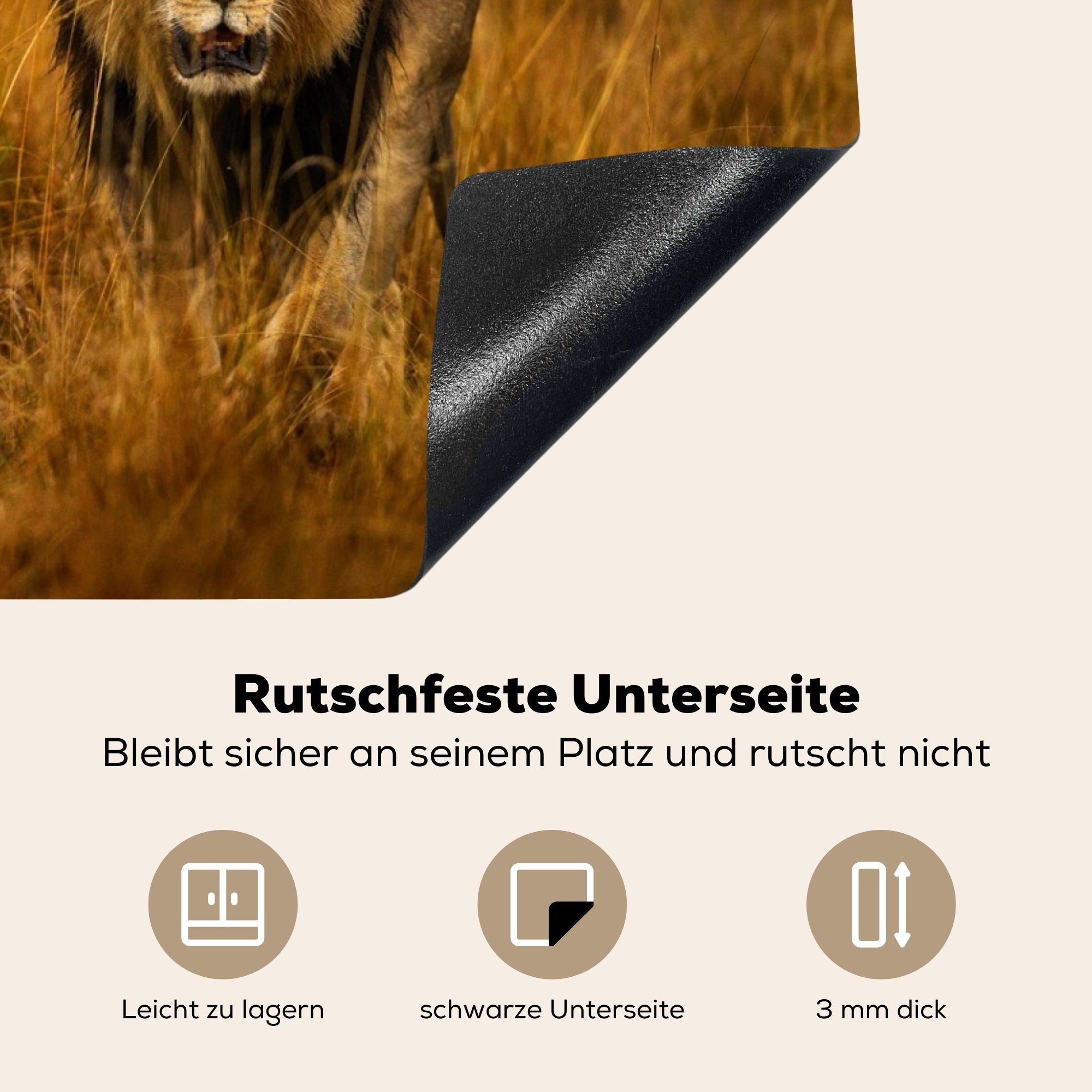 MuchoWow Herdblende-/Abdeckplatte 71x52 - Gras, Vinyl, Schutz Savanne Induktionskochfeld Ceranfeldabdeckung cm, küche, Löwe für (1 - tlg), die