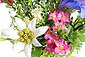 Kunstblume »Edelweiß-Enzian-Alpenrosenstrauß« Alpenblüten, Botanic-Haus, Höhe 22 cm, Bild 3
