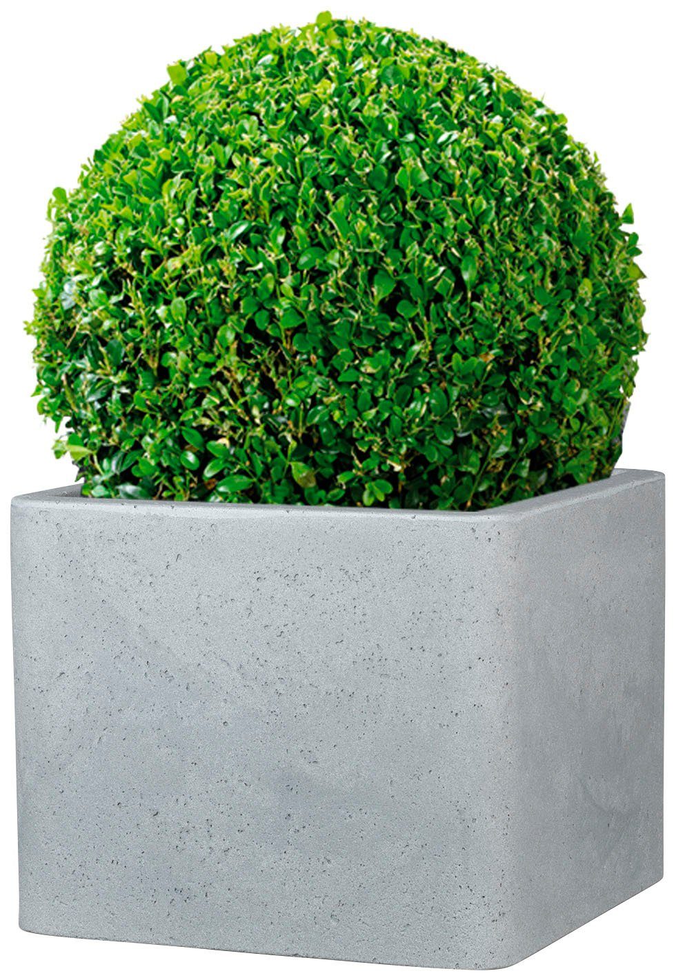 Scheurich Blumentopf 40/140 ALEA UET günstig online kaufen