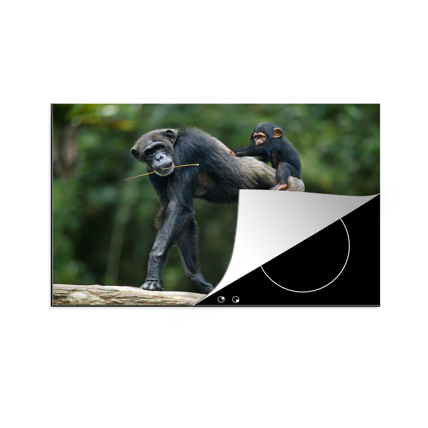 MuchoWow Herdblende-/Abdeckplatte Schimpanse mit Jungen auf seinem Rücken, Vinyl, (1 tlg), 81x52 cm, Induktionskochfeld Schutz für die küche, Ceranfeldabdeckung