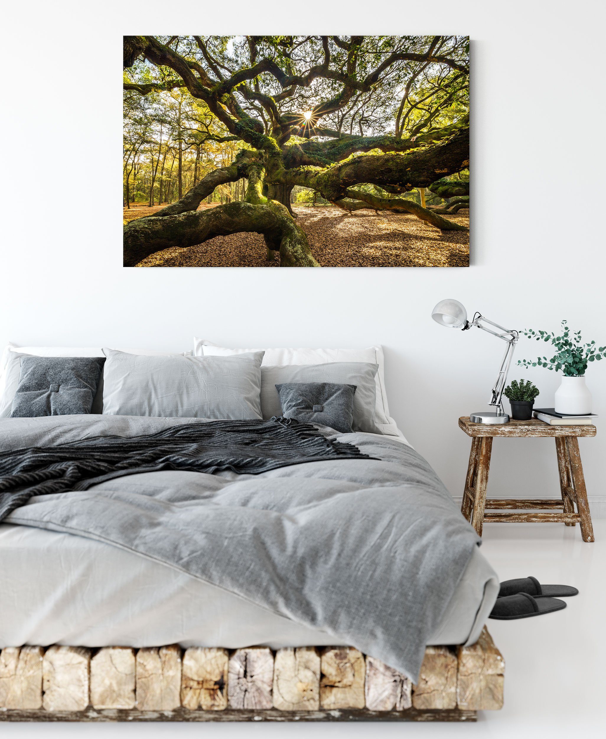 Pixxprint Leinwandbild gigantisch verzweigter Baum Zackenaufhänger fertig Leinwandbild Baum, inkl. (1 St), bespannt, gigantisch verzweigter