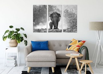 Pixxprint Leinwandbild Elefanten Baby Mama, Elefanten Baby Mama 3Teiler (120x80cm) (1 St), Leinwandbild fertig bespannt, inkl. Zackenaufhänger