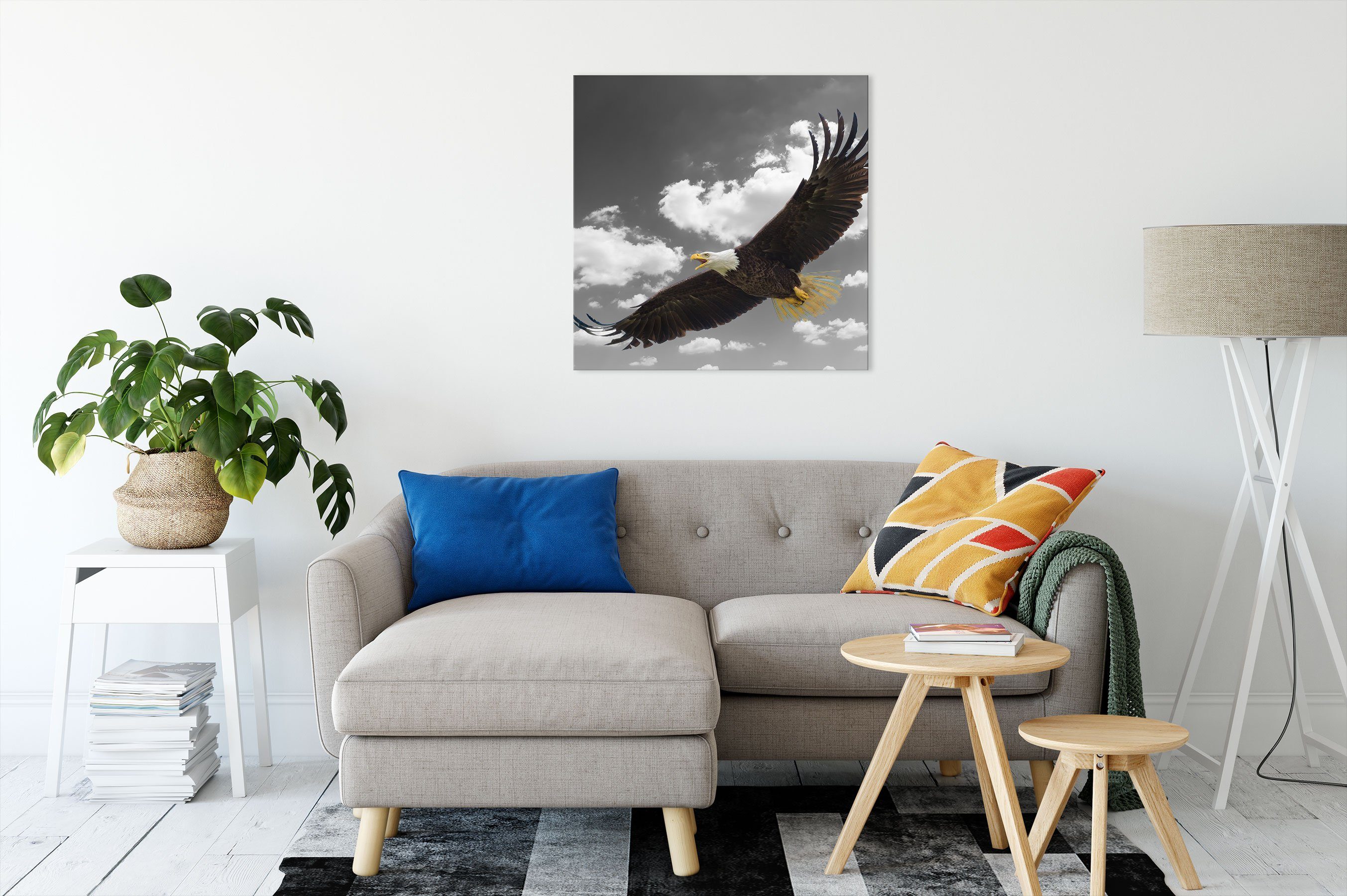 Pixxprint Leinwandbild Weißkopfseeadler fliegen beim (1 inkl. bespannt, beim St), fertig fliegen, Weißkopfseeadler Leinwandbild Zackenaufhänger