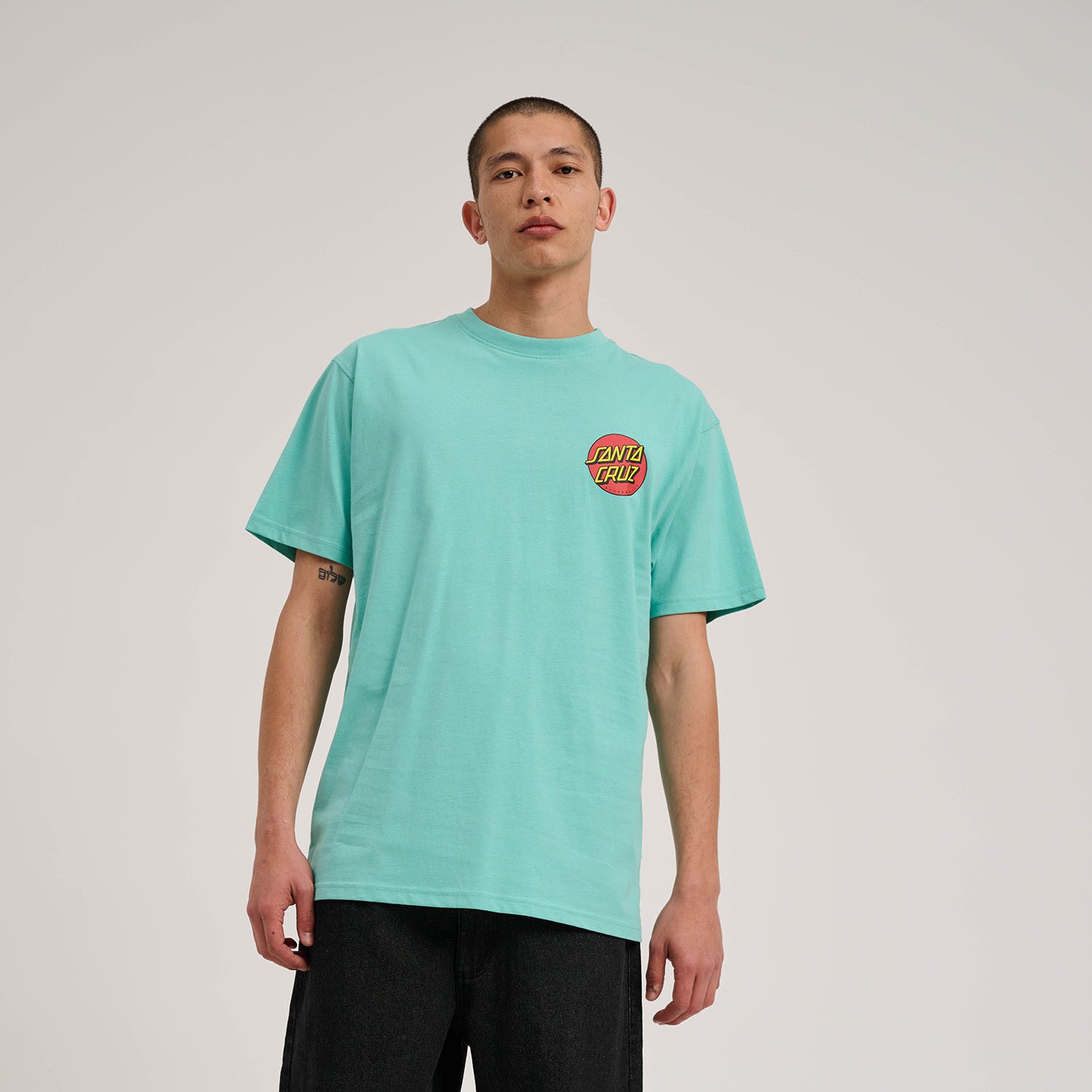 Santa Cruz T-Shirt DILLON SHORTS (1-tlg) günstig online kaufen