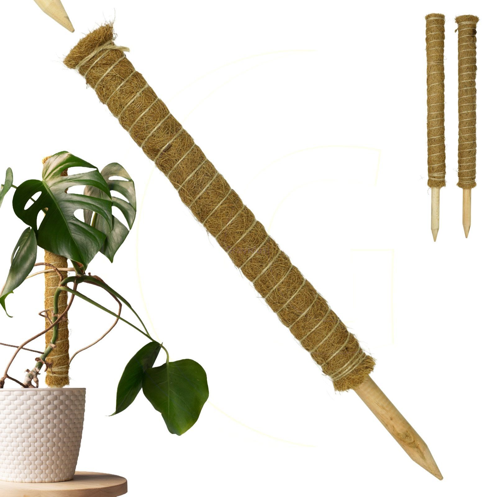 Gravidus Rankhilfe Erweiterbare Pflanzenstütze mit Kokosfilz – Rankhilfe 60 günstig online kaufen