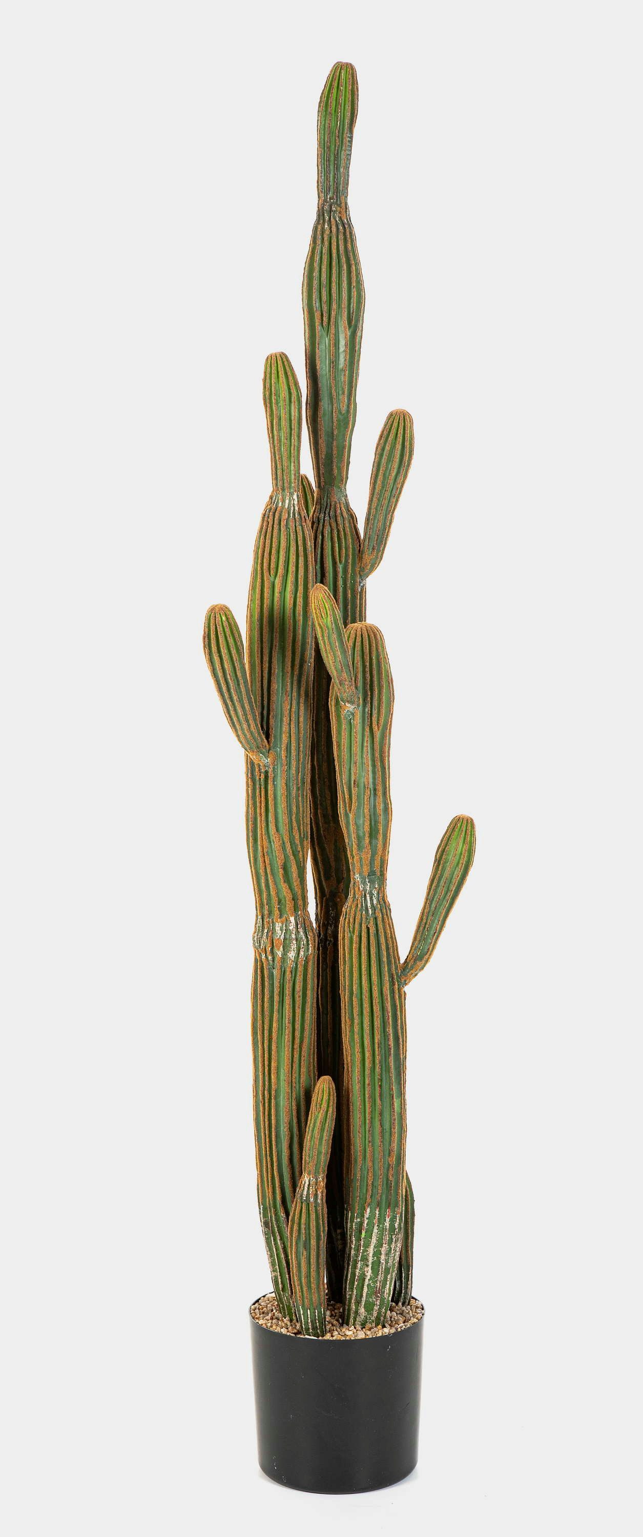 Kunstkaktus Deko Kaktus San Pedro GRUMIUM, grün-braun, 150cm San Pedro Kaktus, artplants, Höhe 150.0 cm