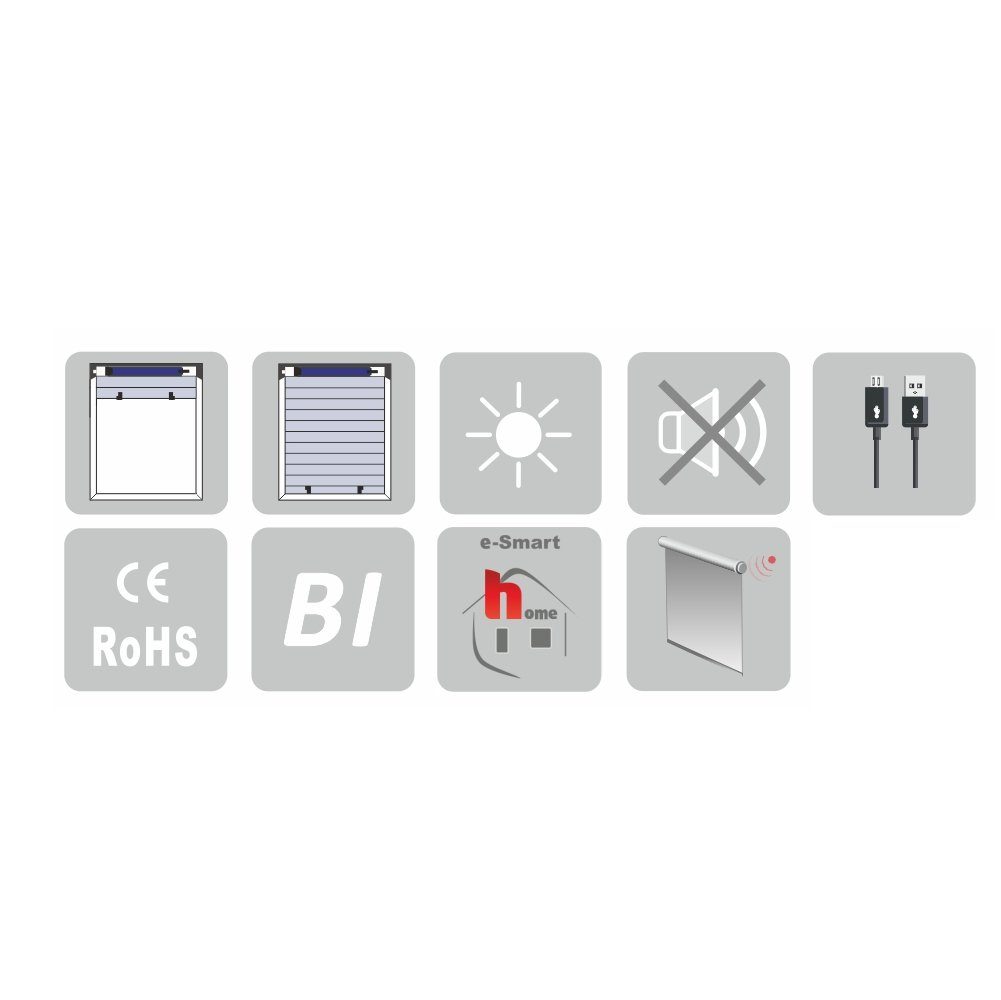 Handfunksender Mini-Akku-Motor-Set, inkl. e-ast mit GmbH Kanal mAh, bi-direktionale 5 Timer 750 Akku heicko Kommunikation