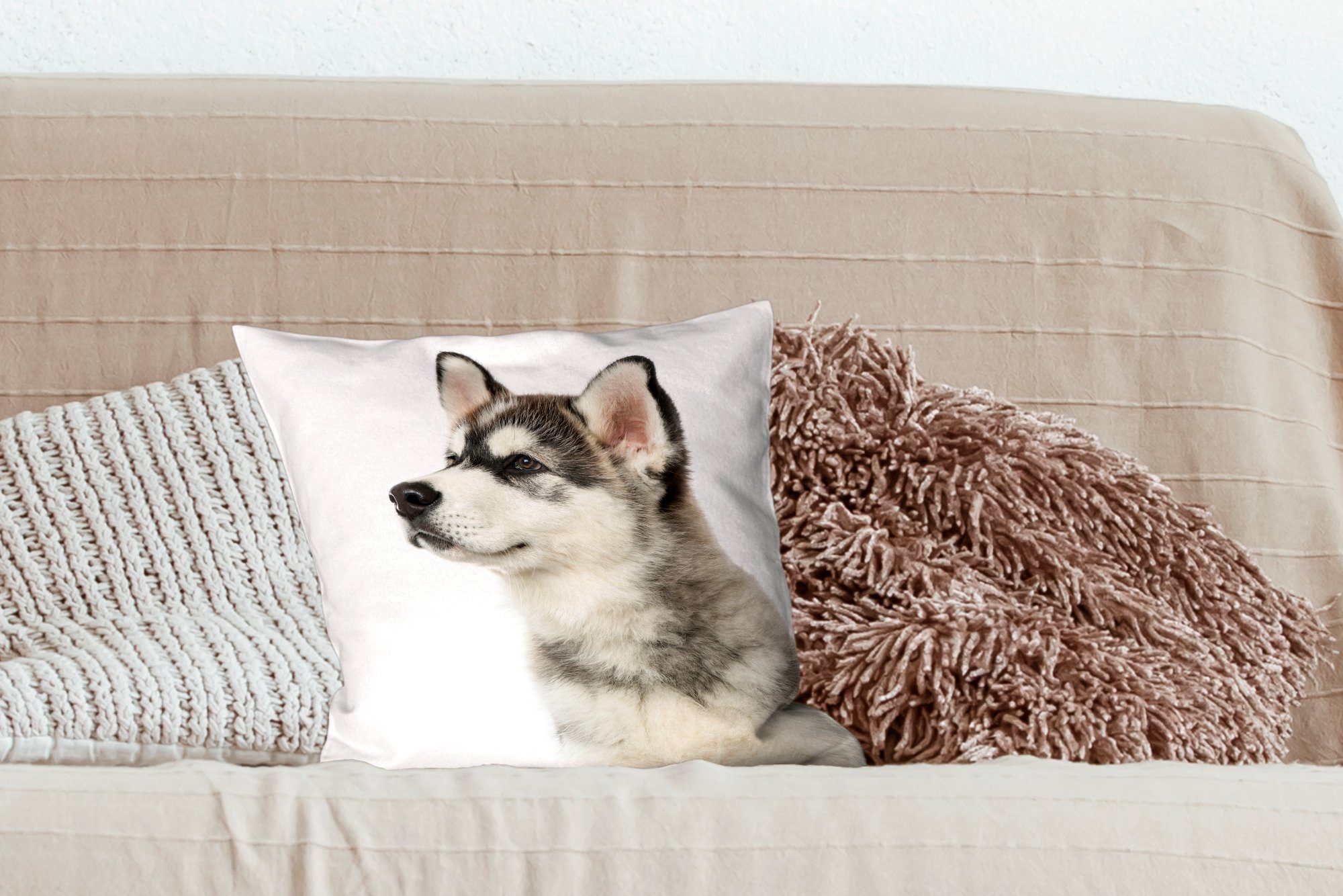 Sofakissen Art MuchoWow Füllung für Hund, Eine Zierkissen Wohzimmer, Deko, andere von Schlafzimmer, mit Dekokissen