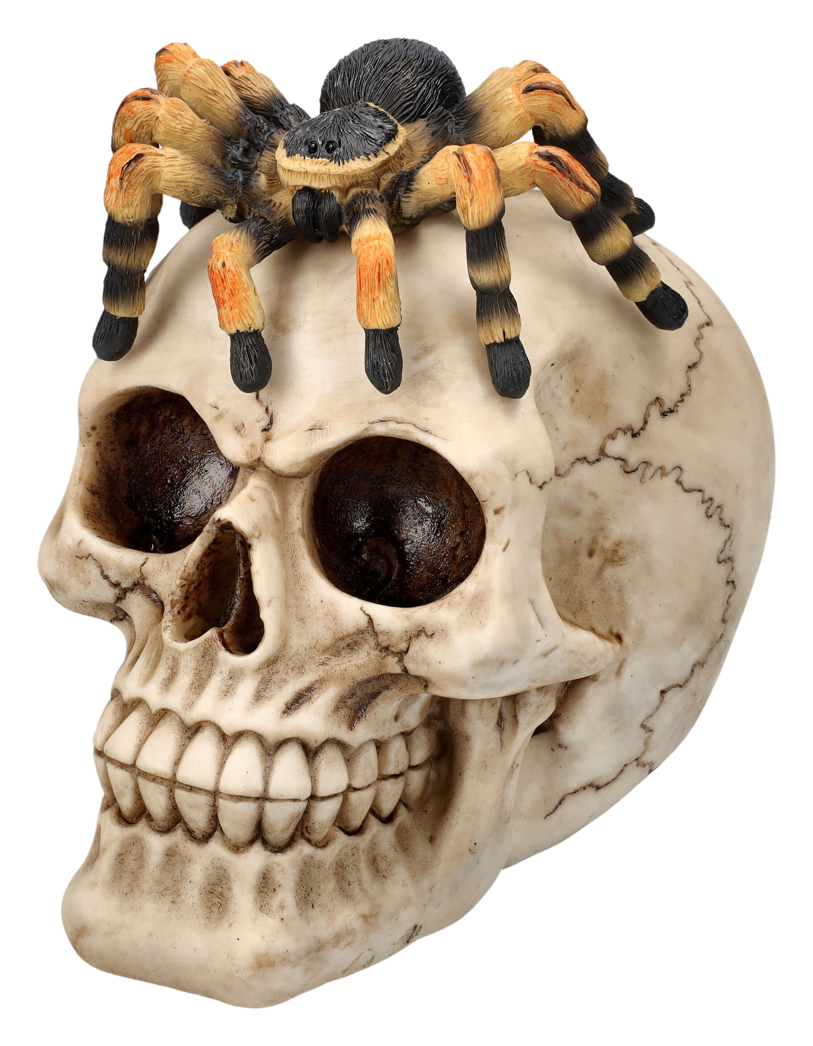Dekofigur Totenschädel Figur mit Spinne - Gothic Dekoration Totenkopf Dekofigur