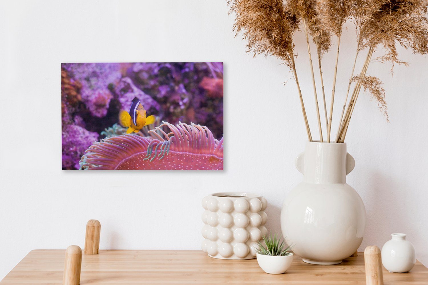 Fisch Leinwandbild Wanddeko, 30x20 cm - (1 Leinwandbilder, Koralle OneMillionCanvasses® Rosa, St), - Wandbild Aufhängefertig,