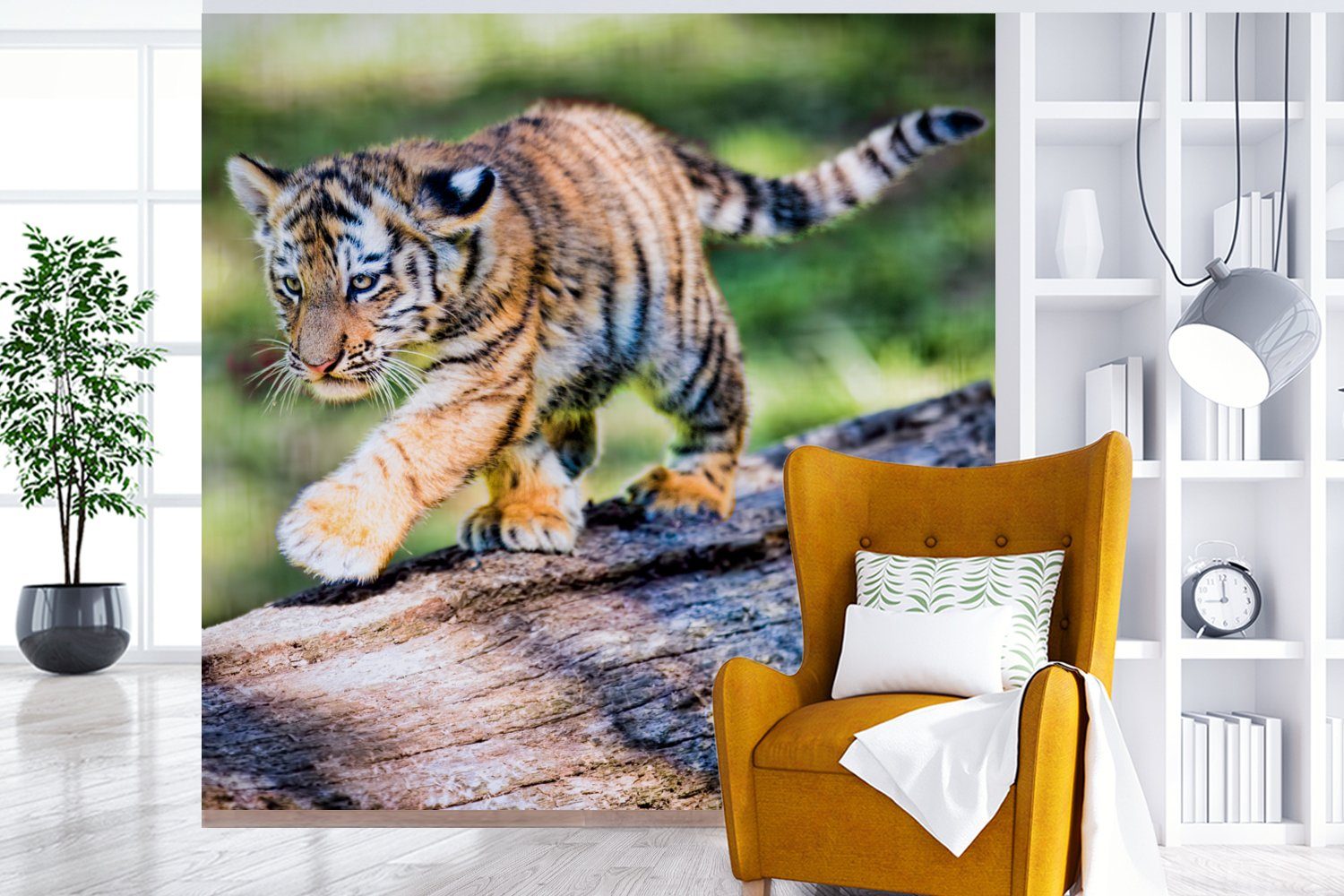 Tiger Matt, (4 Fototapete für Schlafzimmer MuchoWow Vliestapete bedruckt, Wohnzimmer - Baum, St), Junge - Fototapete Küche,