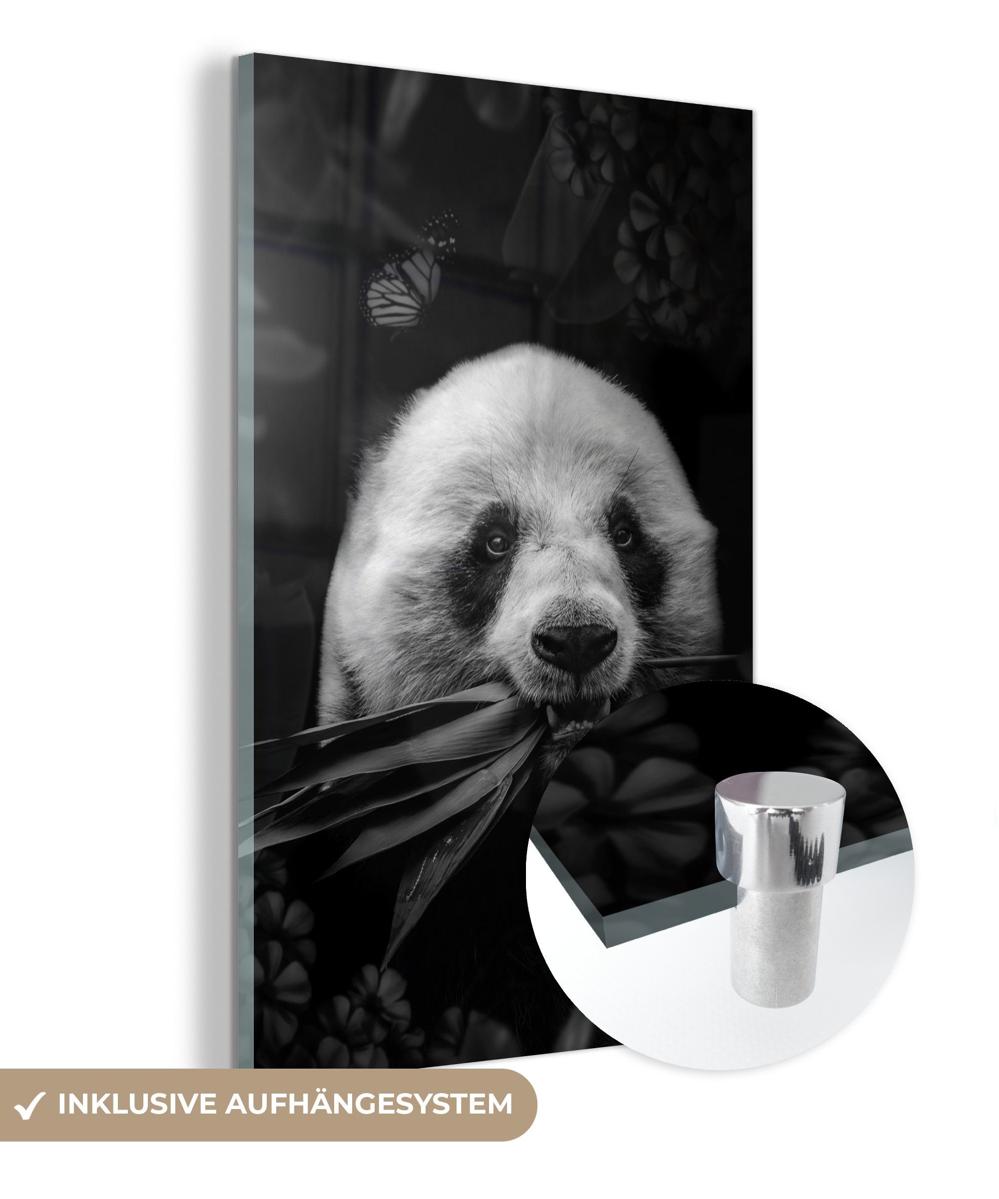 MuchoWow Acrylglasbild Panda frisst Blätter im Dschungel - schwarz und weiß, (1 St), Glasbilder - Bilder auf Glas Wandbild - Foto auf Glas - Wanddekoration bunt