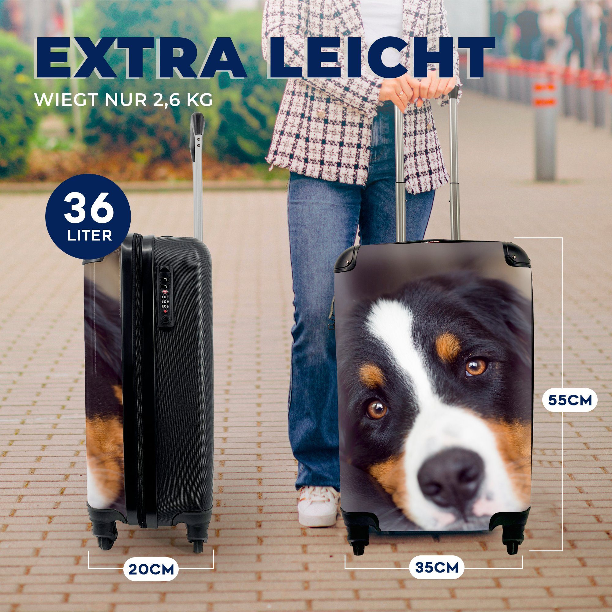 Reisekoffer Reisetasche Handgepäckkoffer auf Berner Trolley, MuchoWow Ferien, 4 mit Rollen, Handgepäck dem Ein rollen, für Sennenhund Sofa, liegt