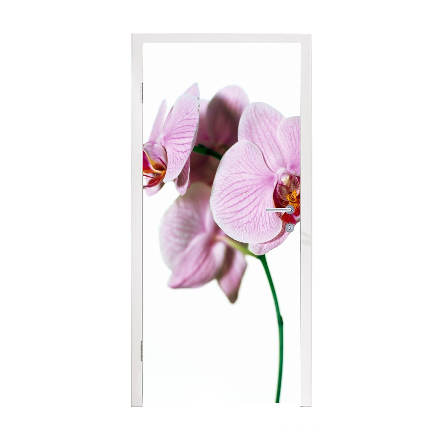 Türtapete Türaufkleber, (1 Matt, Rosa bedruckt, für St), Orchideenblüte, 75x205 MuchoWow Fototapete Tür, cm