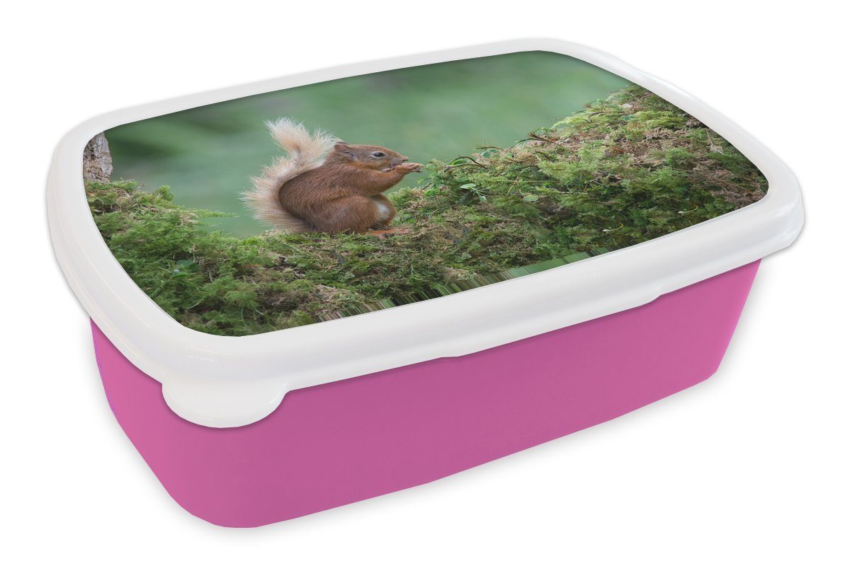 MuchoWow für Brotdose Mädchen, Kunststoff Snackbox, - Kinder, Waldtier Kunststoff, - Lunchbox Erwachsene, (2-tlg), Moos, Brotbox Eichhörnchen rosa