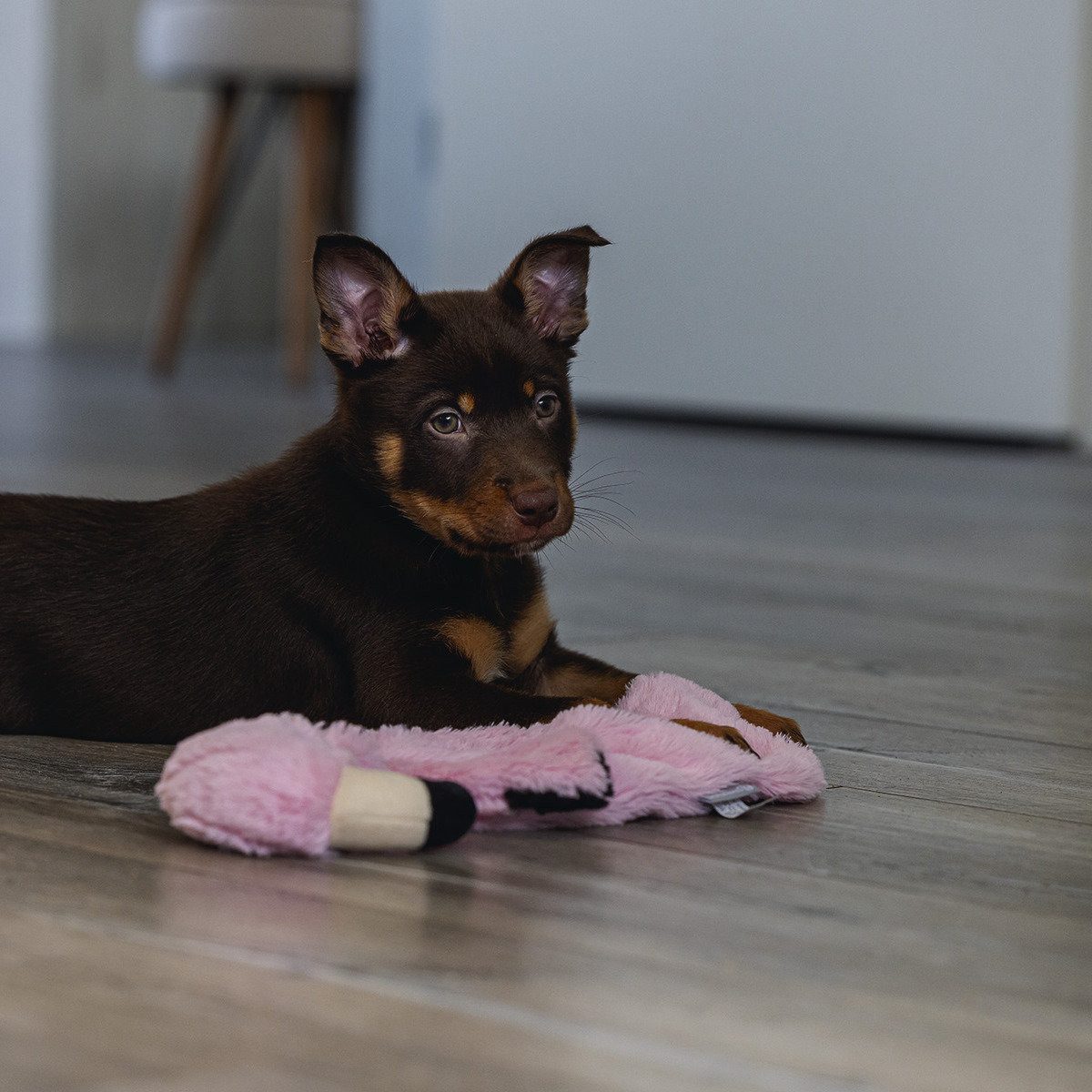 Beeztees Tierkuscheltier Hundespielzeug Puppy Flatino Flamingo günstig online kaufen