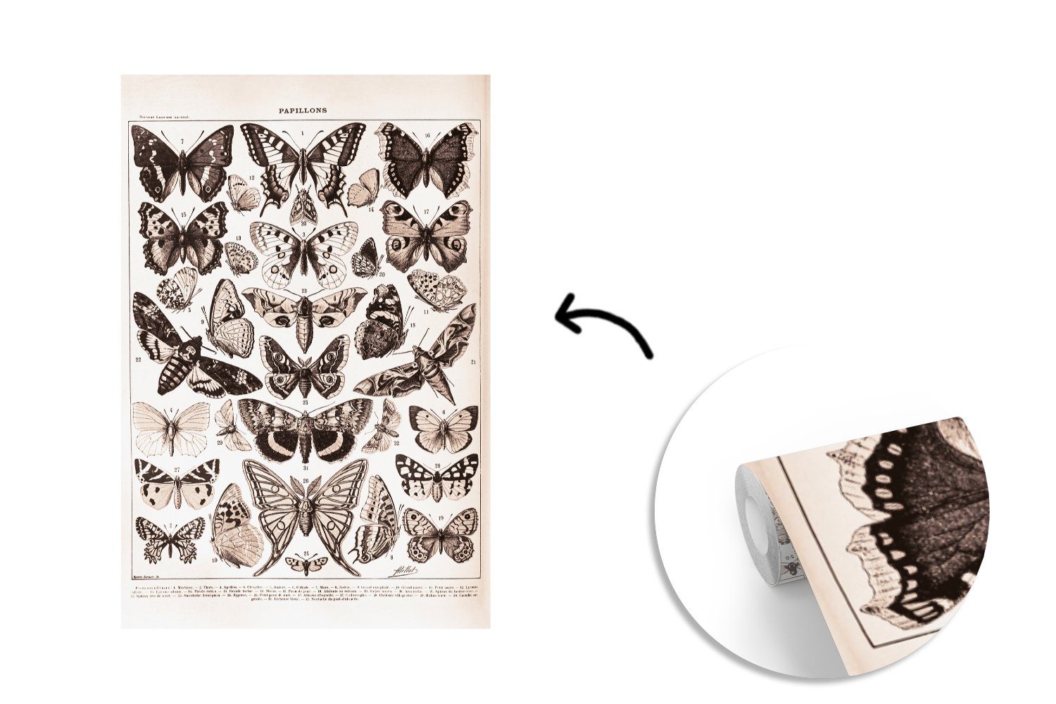 Schwarz - Weiß, Schmetterling Montagefertig Wohnzimmer, Vinyl für Wandtapete Matt, Tapete - MuchoWow - Tiere (3 St), bedruckt, Fototapete