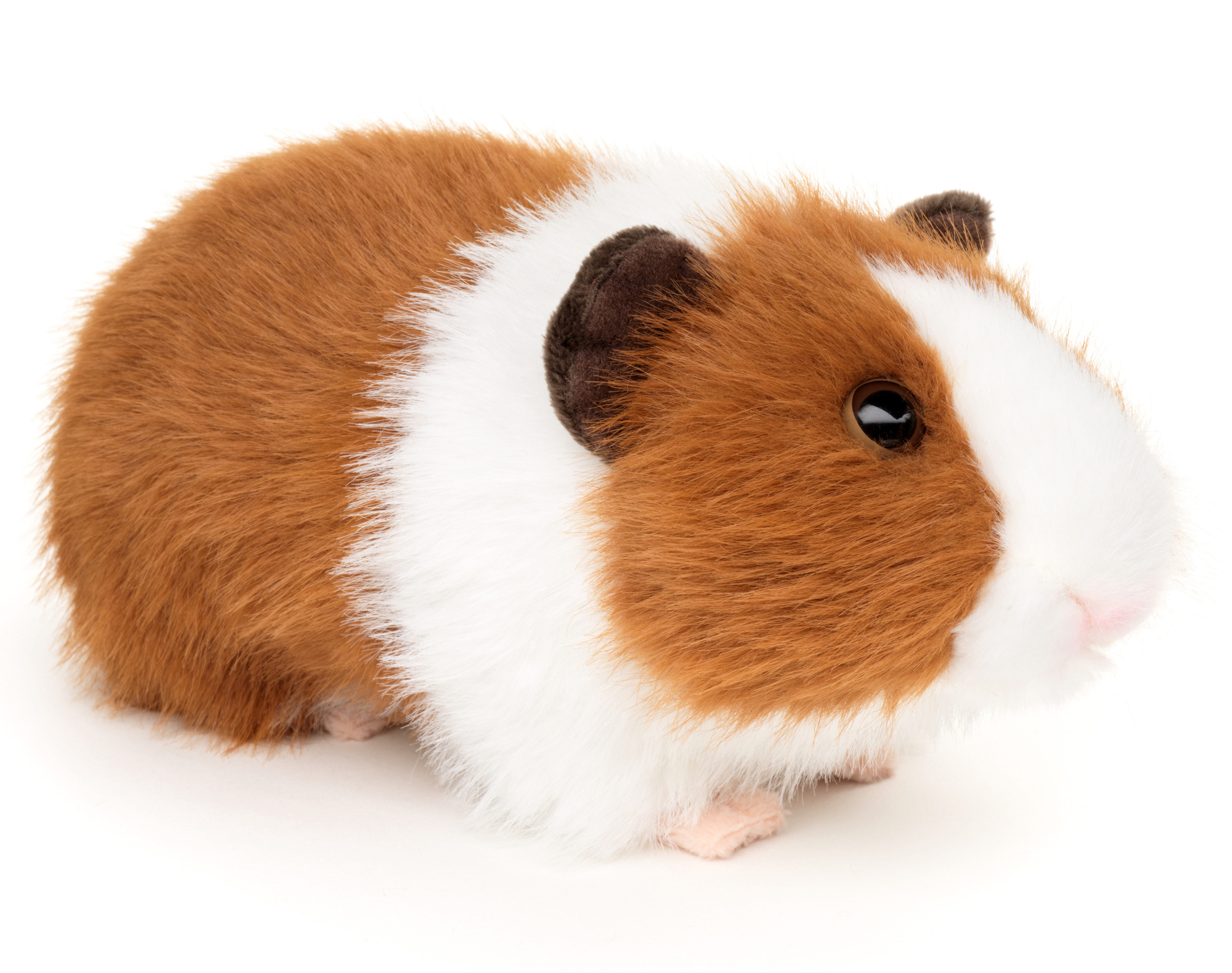 Uni-Toys Kuscheltier Meerschweinchen - verschiedene Farben - 21 cm (Длина) - Plüschtier, zu 100 % recyceltes Füllmaterial