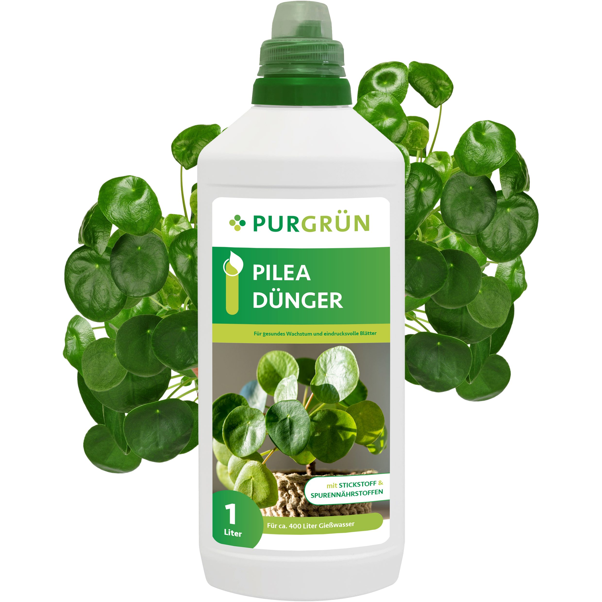 Universaldünger Purgrün Pilea Dünger, NPK 10+4+6, für grüne Blätter, 1L