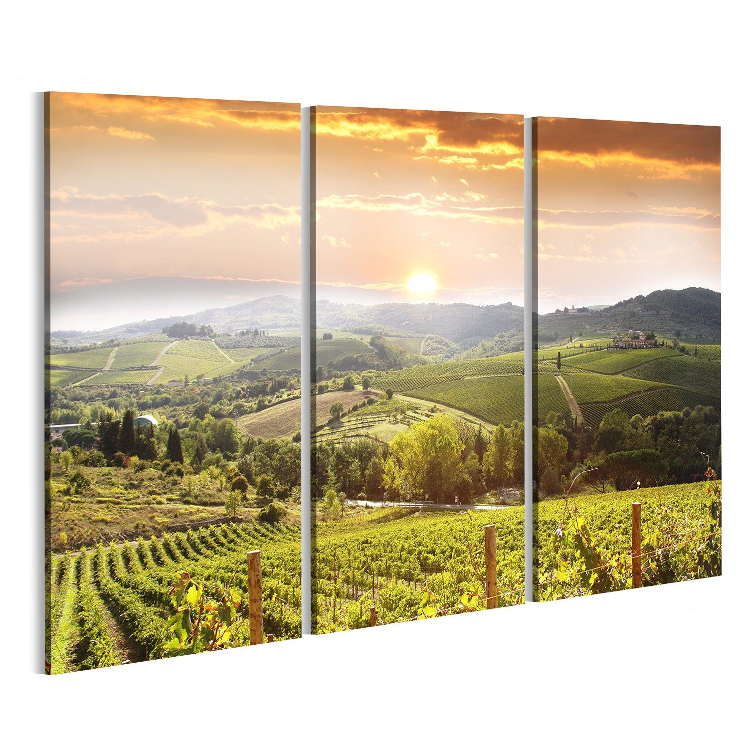 Leinwandbild Bild auf Leinwand Weinberg Chianti Toskana Wandbild Leinwandbild Wand