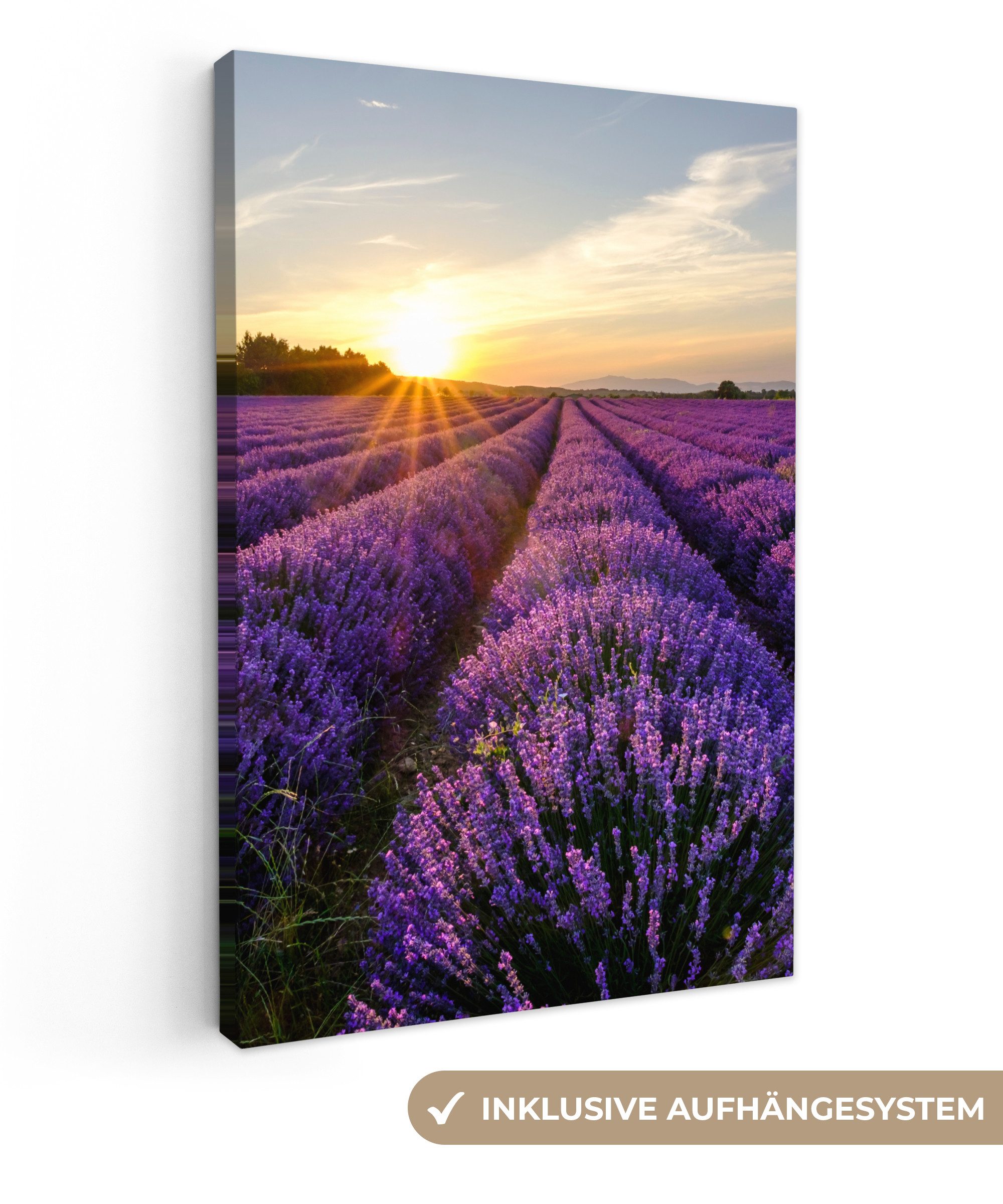 OneMillionCanvasses® Leinwandbild Lavendel - Blumen - Sonnenuntergang - Lila, Fotodruck (1 St), Leinwand Canvas Wandbild, Wanddekoration 20x30 cm