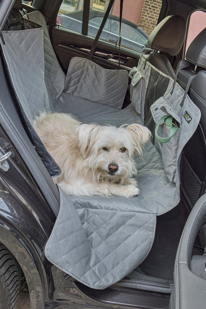 LOOPdogs Tier-Autoschondecke NIMM MICH MIT - Hundematte für die  Auto-Rückbank