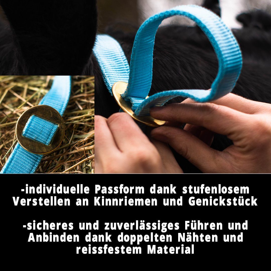 Pferdelinis Halfter Halfter für Pferde 2-Fach verstellbar an Kinnriemen und Genickstück, zweifach verstellbar