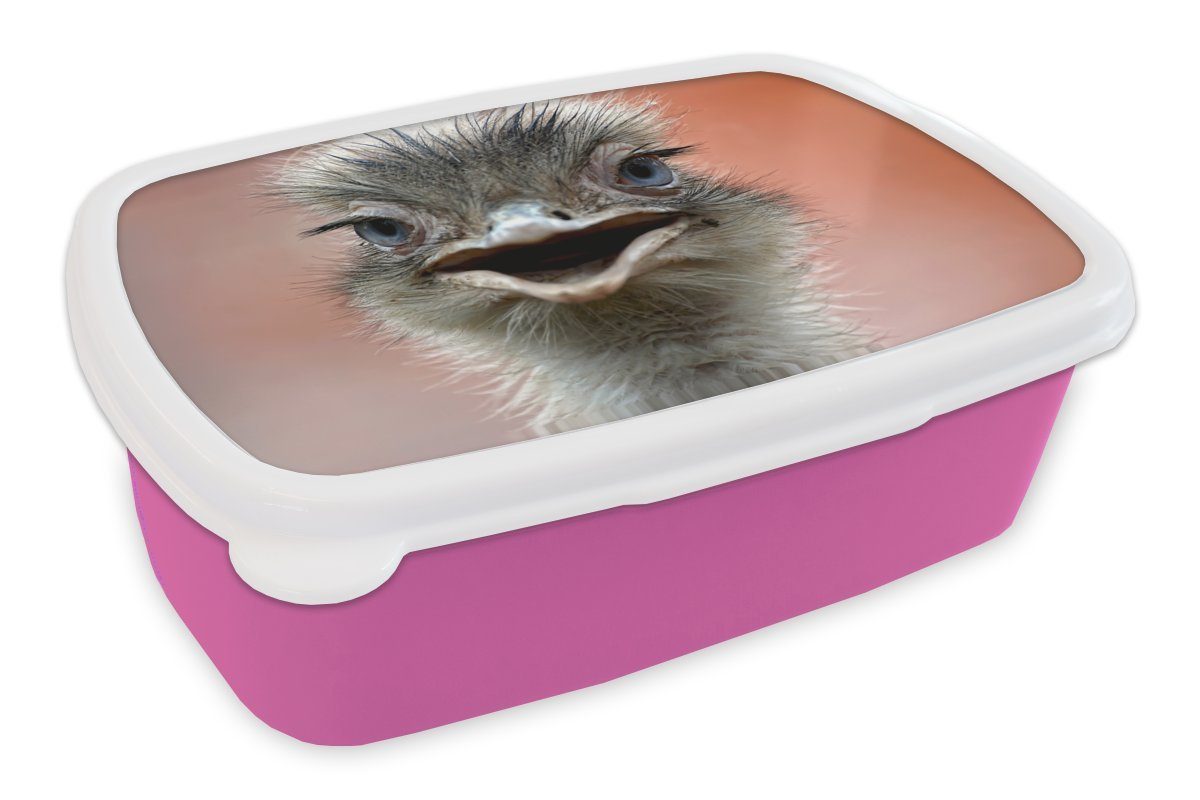 MuchoWow Lunchbox Strauß - Tiere - Makro, Kunststoff, (2-tlg), Brotbox für Erwachsene, Brotdose Kinder, Snackbox, Mädchen, Kunststoff rosa