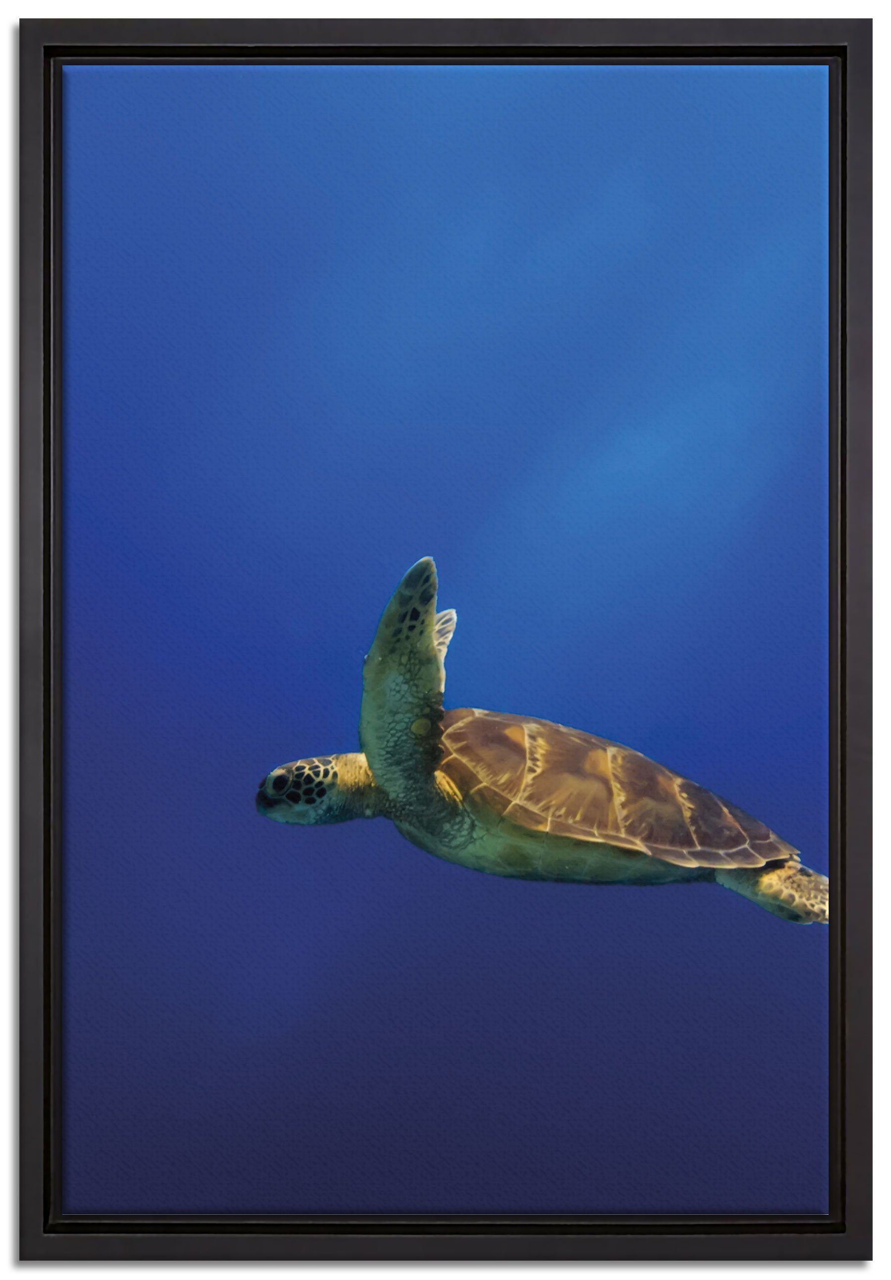 Pixxprint Leinwandbild Schildkröte im Meer, Wanddekoration (1 St), Leinwandbild fertig bespannt, in einem Schattenfugen-Bilderrahmen gefasst, inkl. Zackenaufhänger