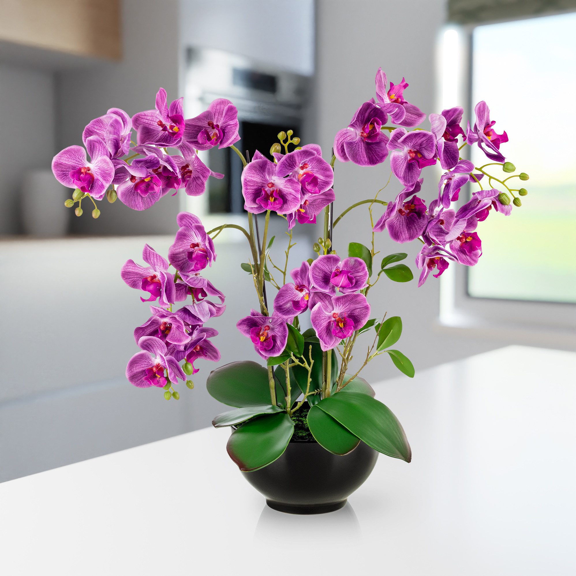 Kunstorchidee PASCH® XXL Orchidee künstlich wie echt (56cm) in Hochglanz-Keramiktopf Orchidee, PASCH