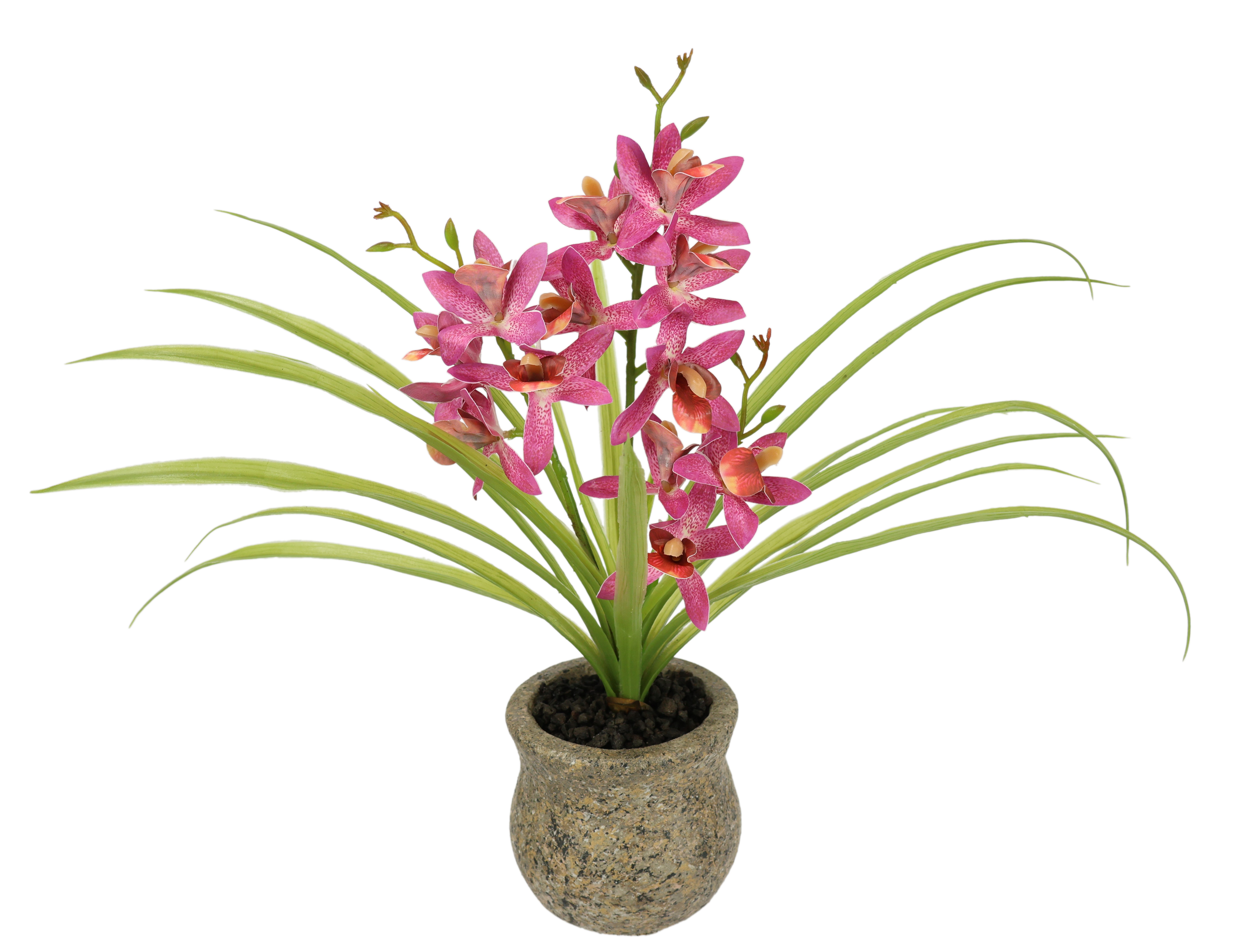 Kunstblume Kunstblume Schmetterling Orchidee mit Keramiktopf, günstig online kaufen