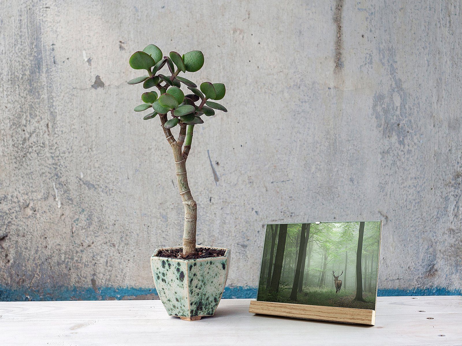 Walther Design Portraitrahmen Simplicity im Querformat, Fotohalter puristisch elegant