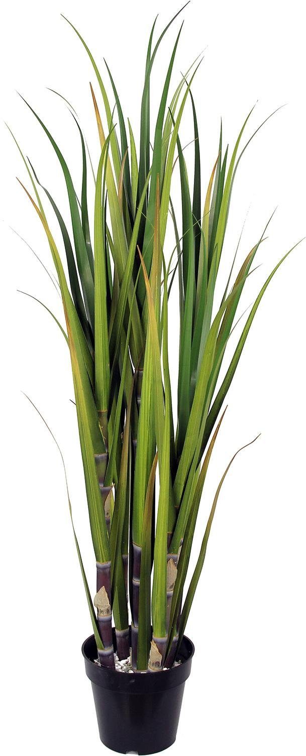 Kunstpflanze Zuckerrohr Kunstpflanze, Höhe 122 cm Zuckerrohr, fleur ami, Höhe 122 cm
