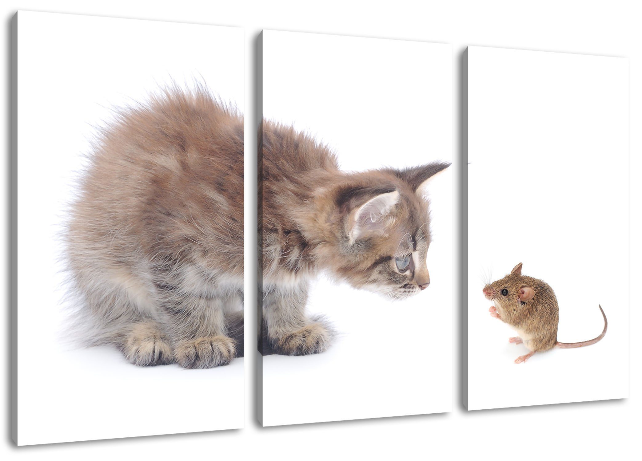Pixxprint Leinwandbild Katze und Freunde, inkl. Leinwandbild und Maus (120x80cm) fertig Freunde bespannt, St), Zackenaufhänger Maus Katze 3Teiler (1