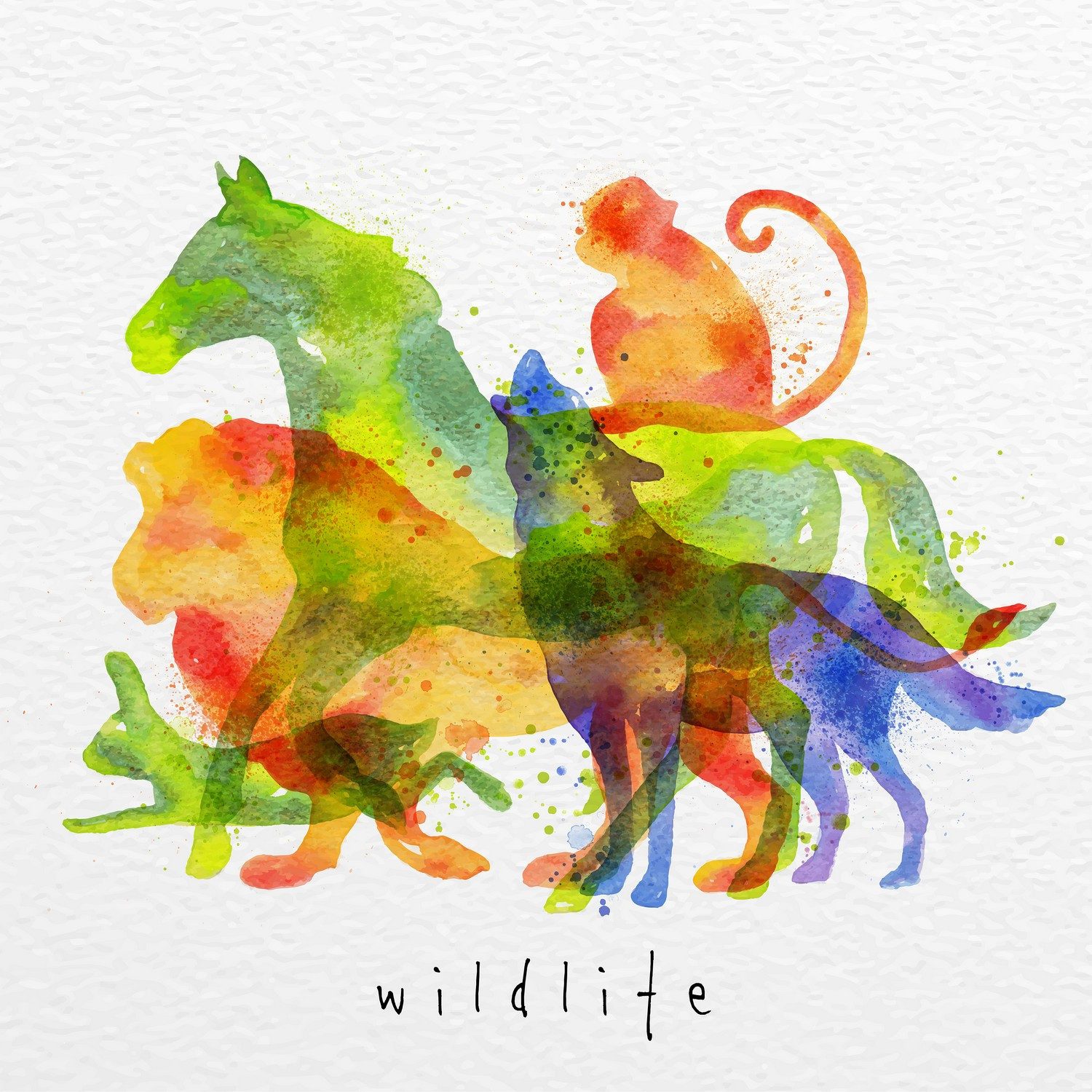 Wallario Möbelfolie Tierische Vielfalt in Farbe